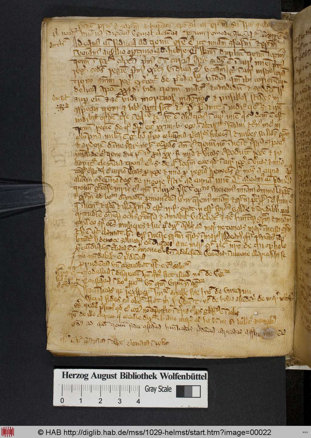 http://diglib.hab.de/mss/1029-helmst/00022.jpg