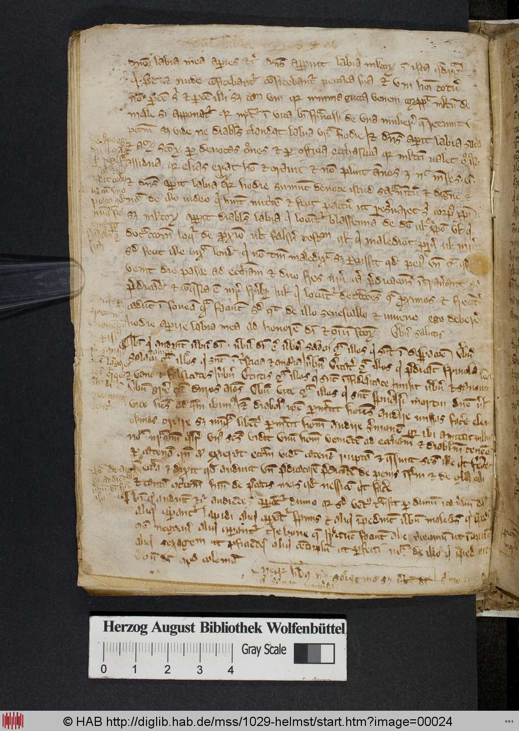 http://diglib.hab.de/mss/1029-helmst/00024.jpg
