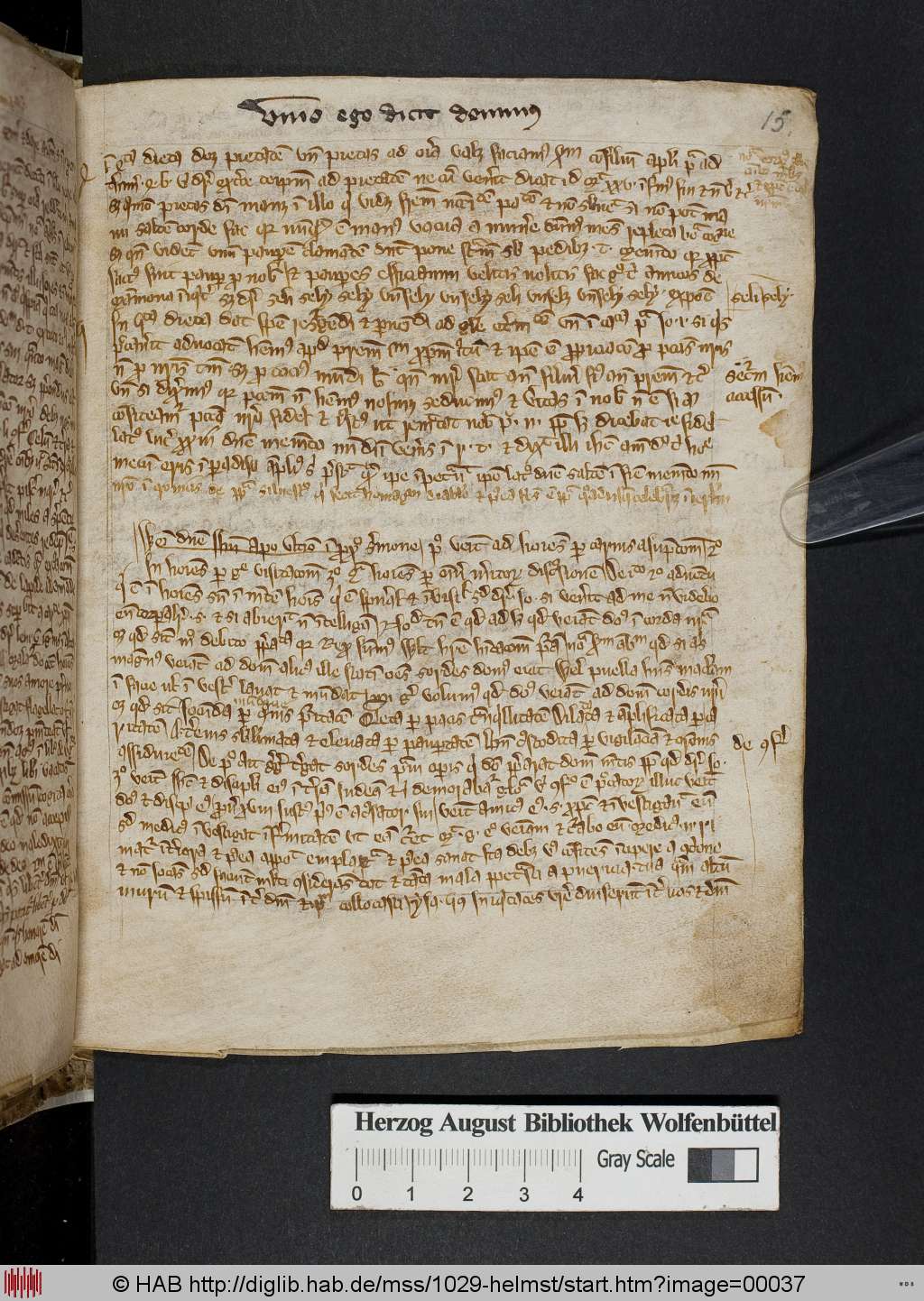 http://diglib.hab.de/mss/1029-helmst/00037.jpg