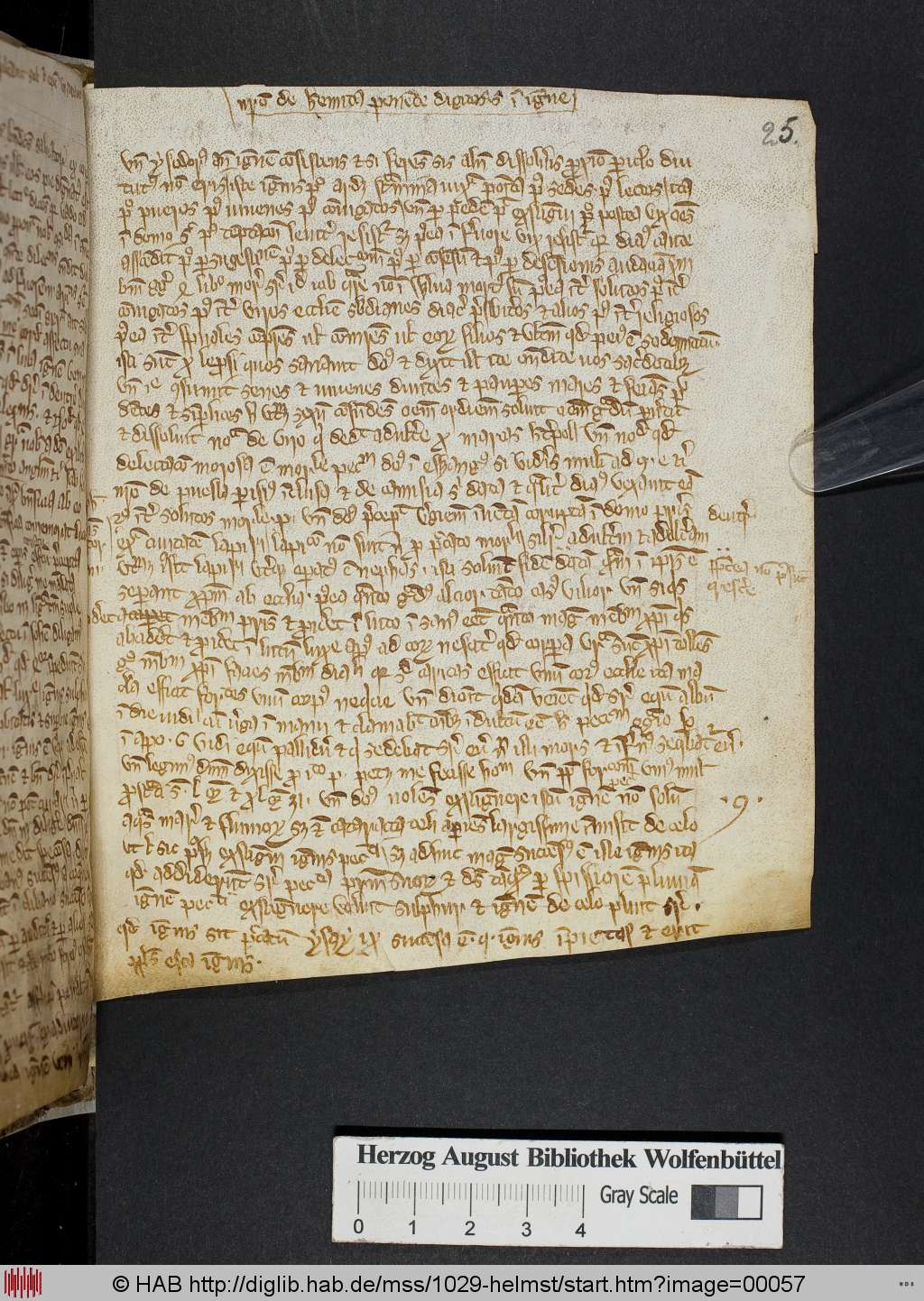http://diglib.hab.de/mss/1029-helmst/00057.jpg