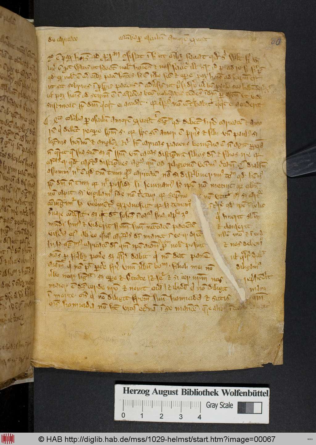 http://diglib.hab.de/mss/1029-helmst/00067.jpg