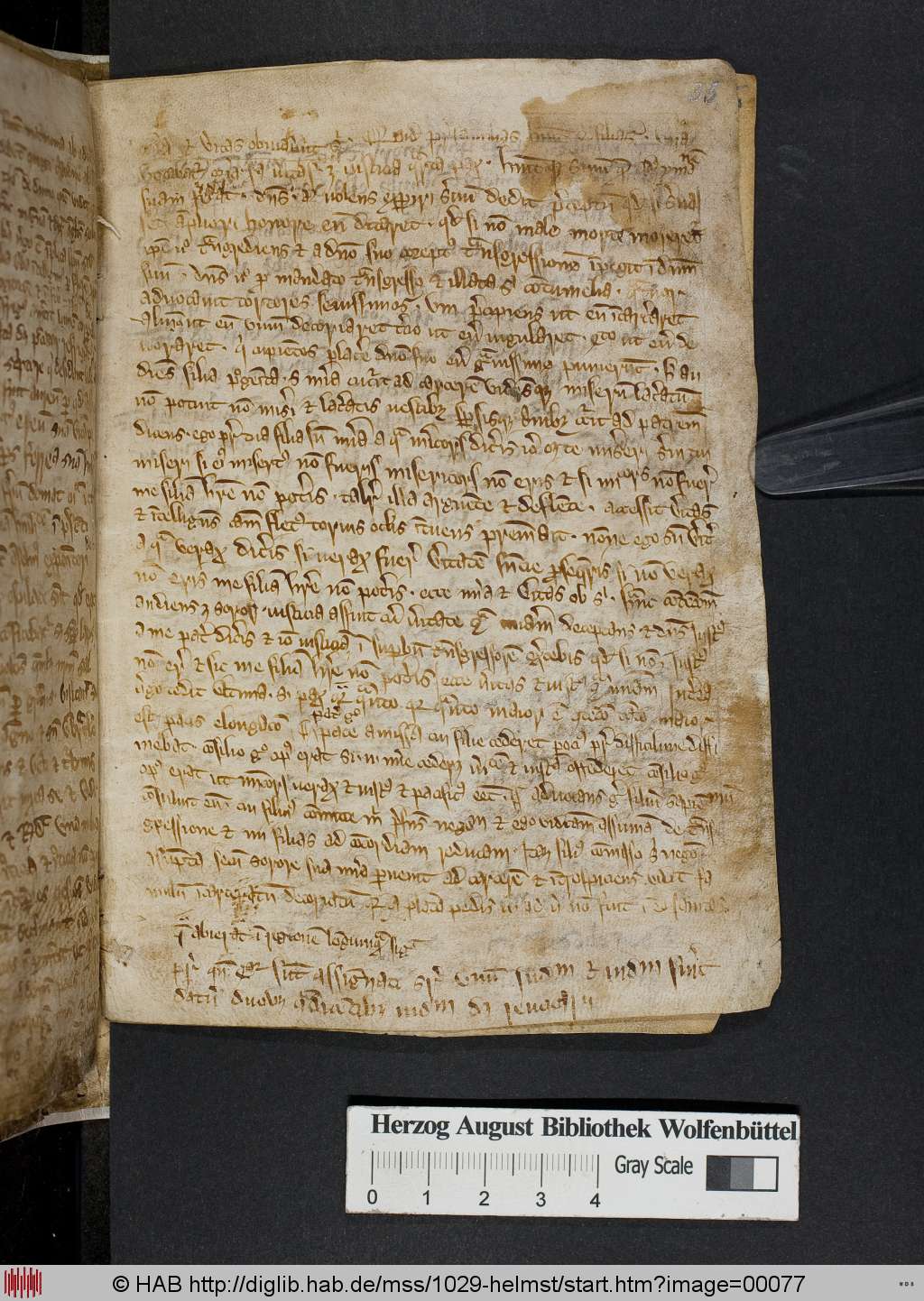 http://diglib.hab.de/mss/1029-helmst/00077.jpg