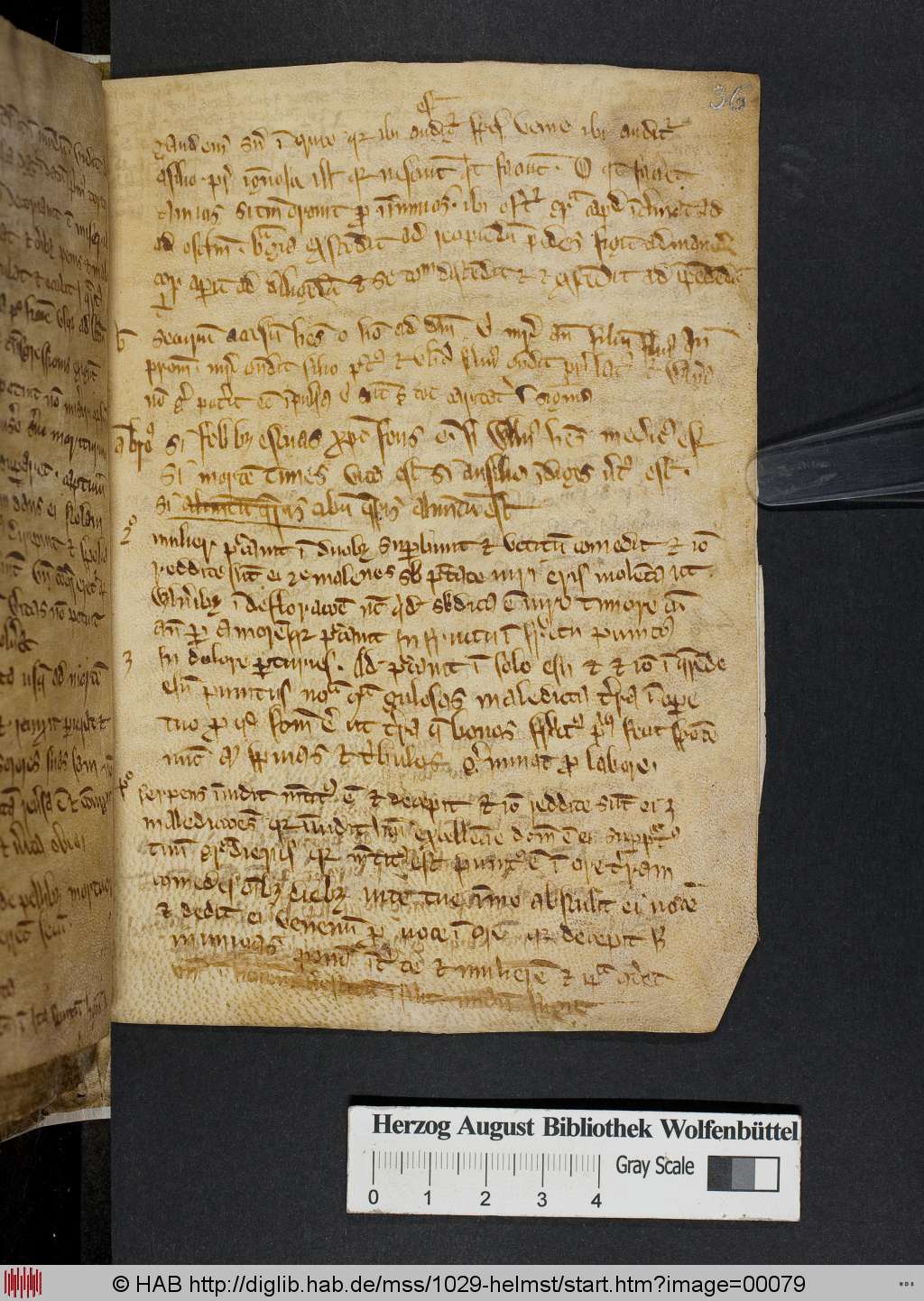 http://diglib.hab.de/mss/1029-helmst/00079.jpg