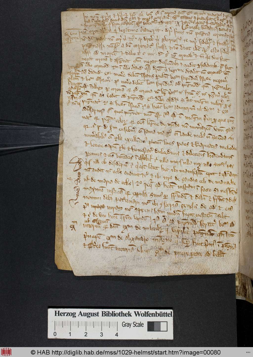 http://diglib.hab.de/mss/1029-helmst/00080.jpg
