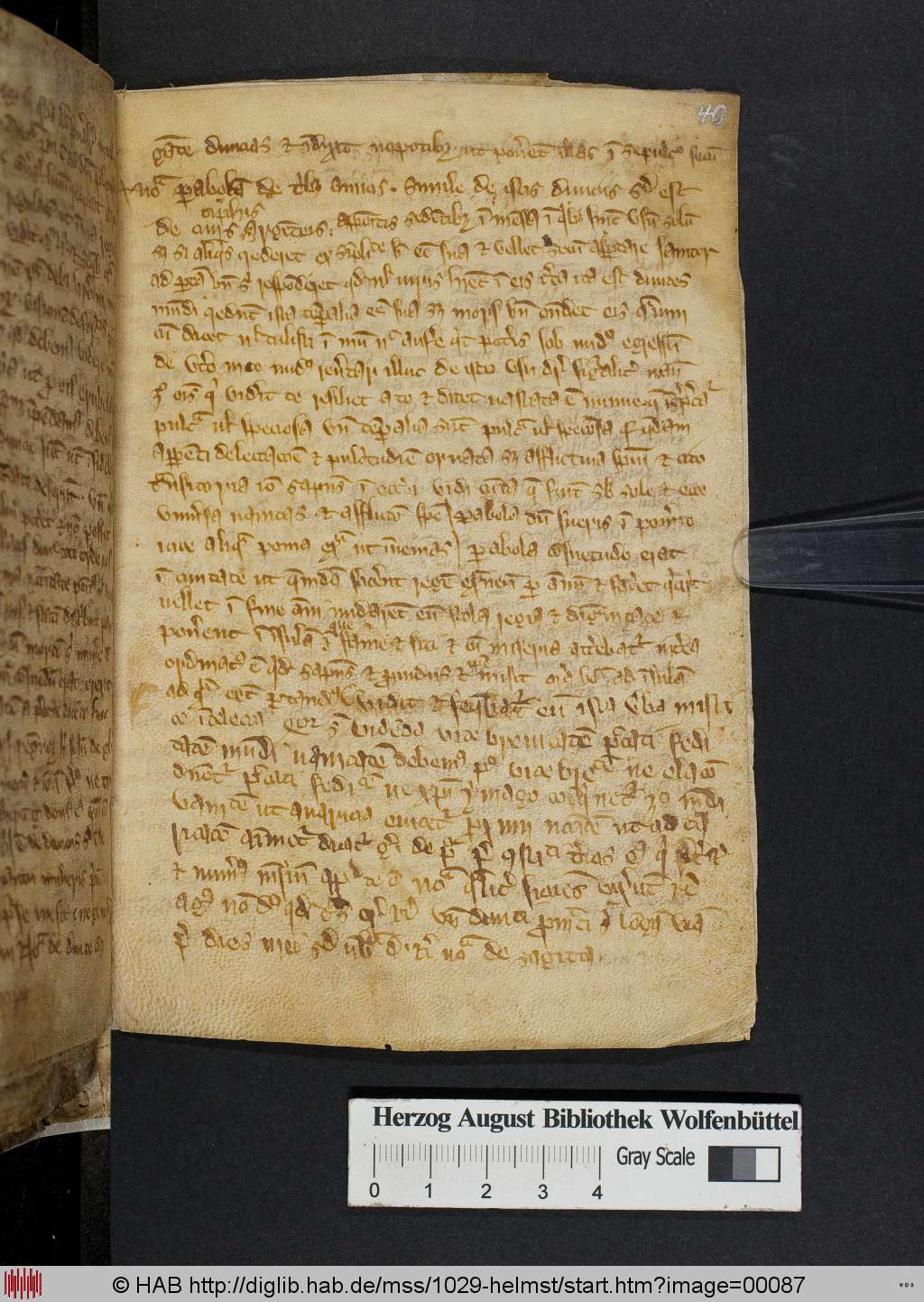 http://diglib.hab.de/mss/1029-helmst/00087.jpg