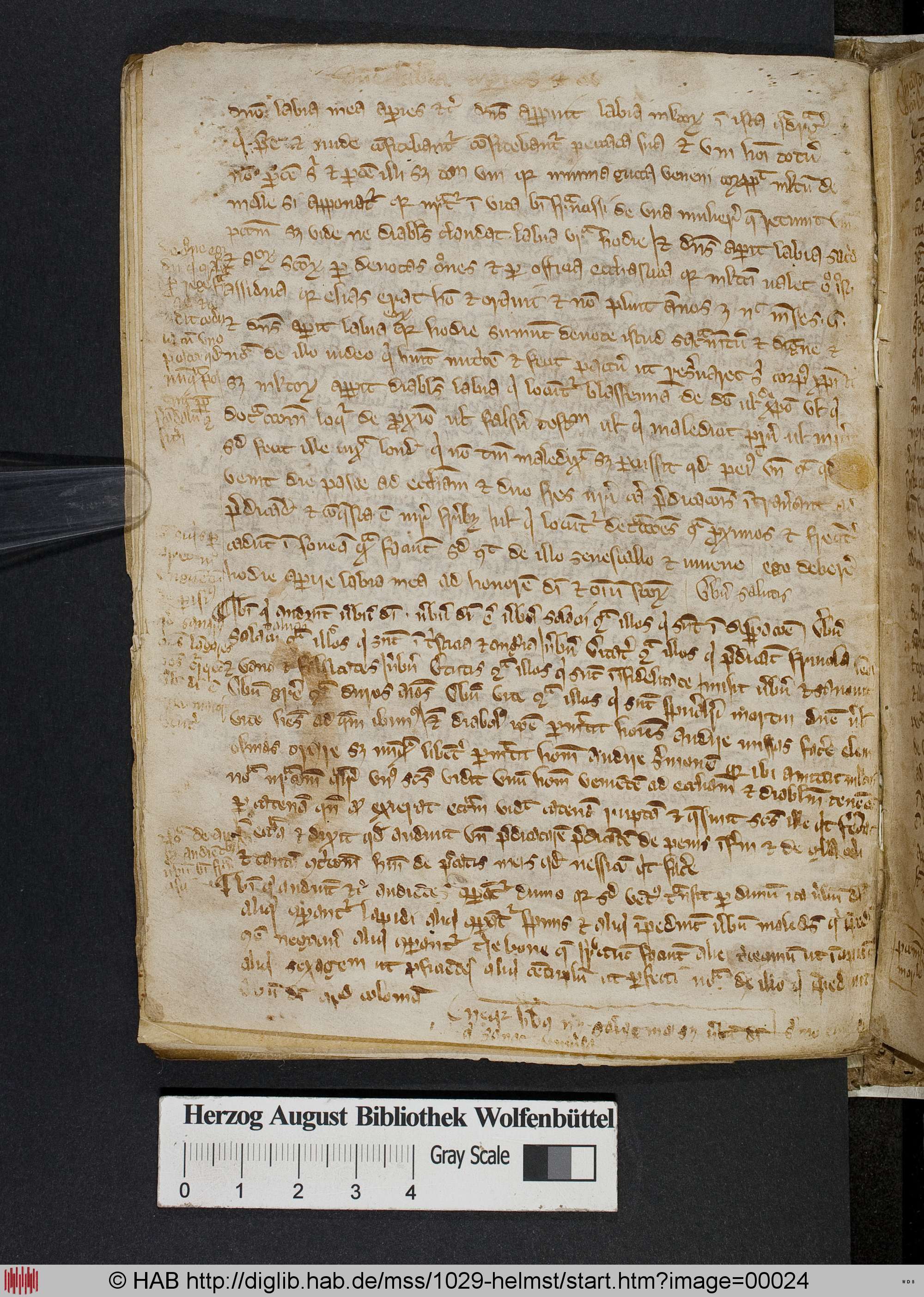 http://diglib.hab.de/mss/1029-helmst/max/00024.jpg