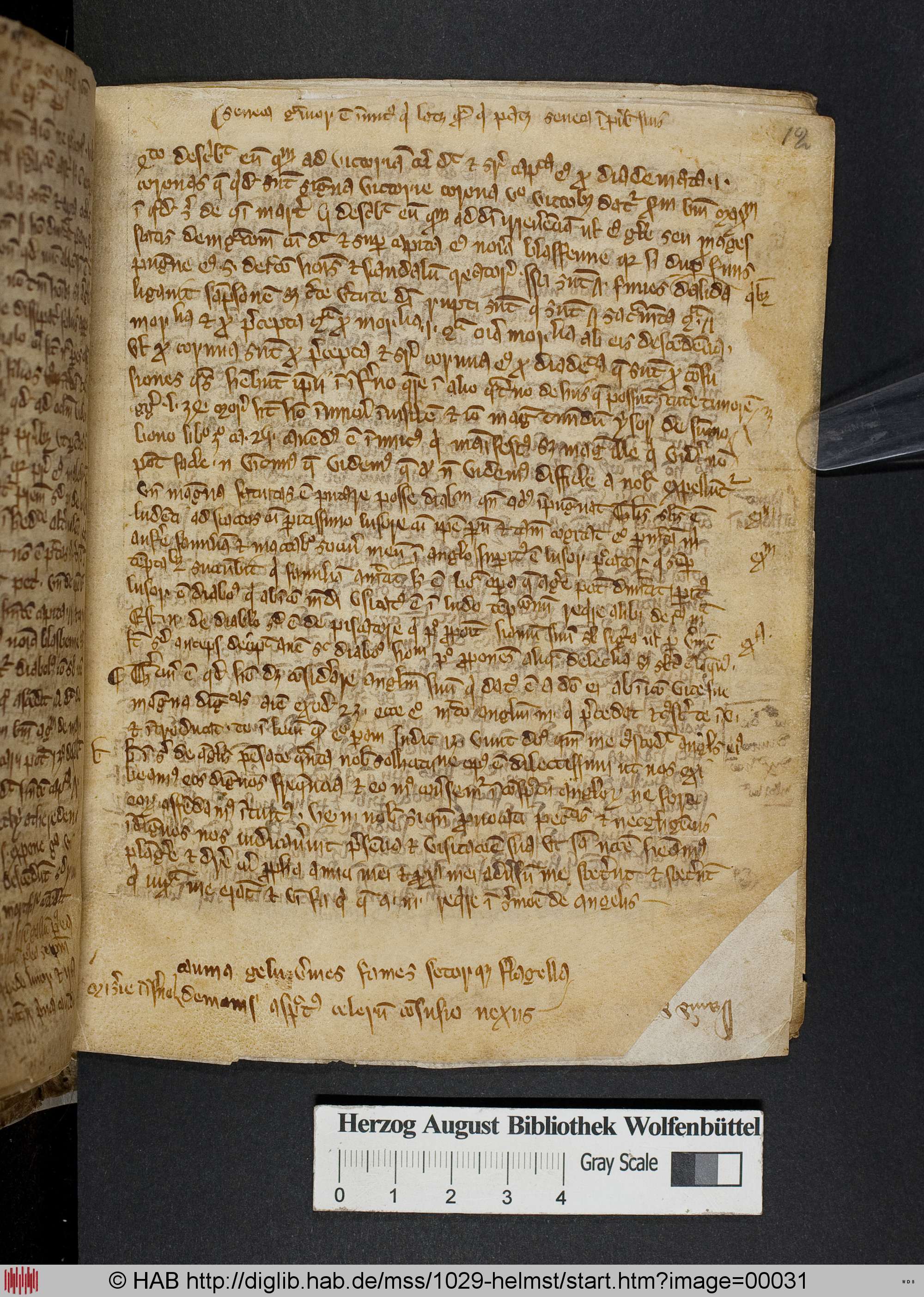 http://diglib.hab.de/mss/1029-helmst/max/00031.jpg