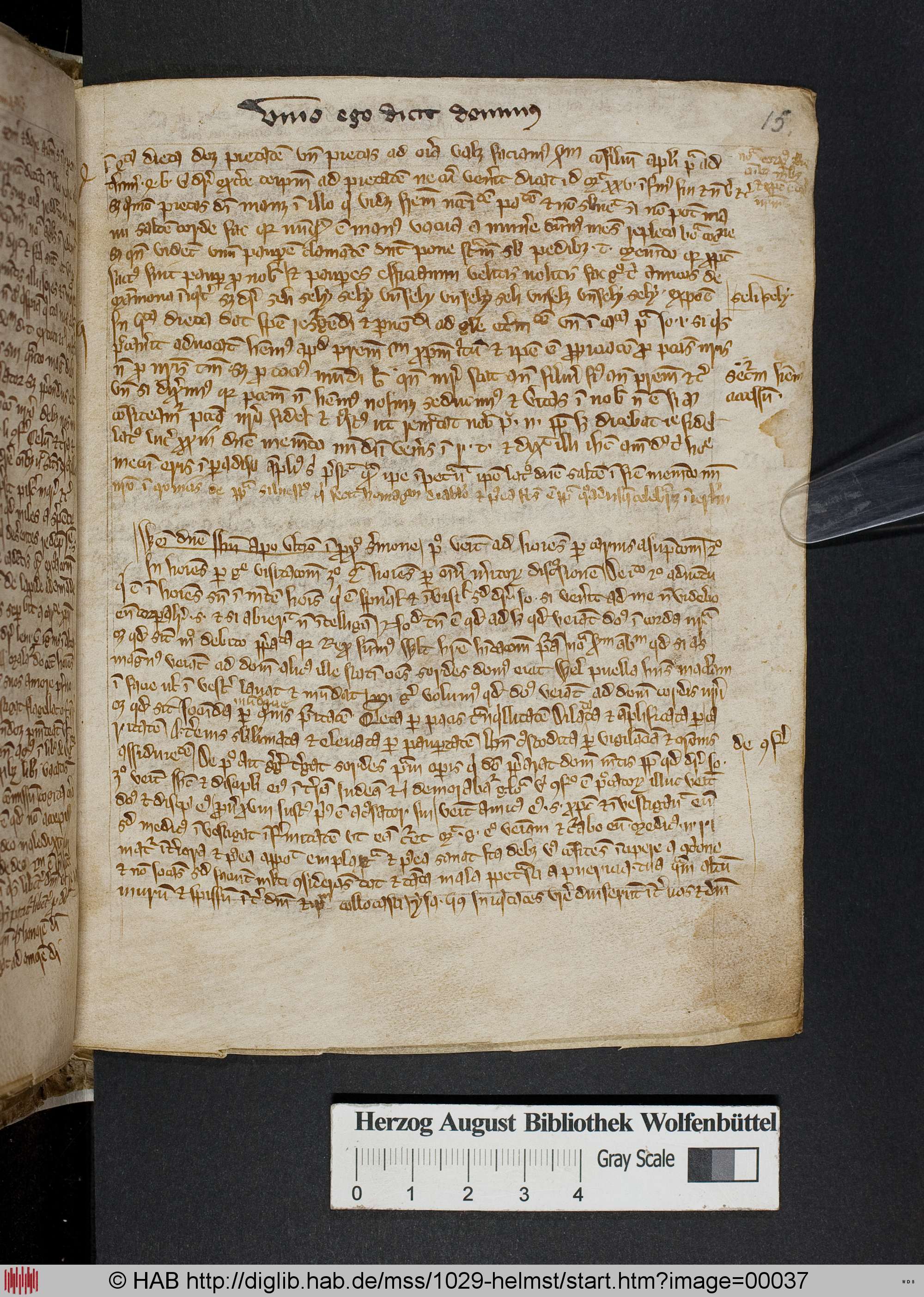 http://diglib.hab.de/mss/1029-helmst/max/00037.jpg
