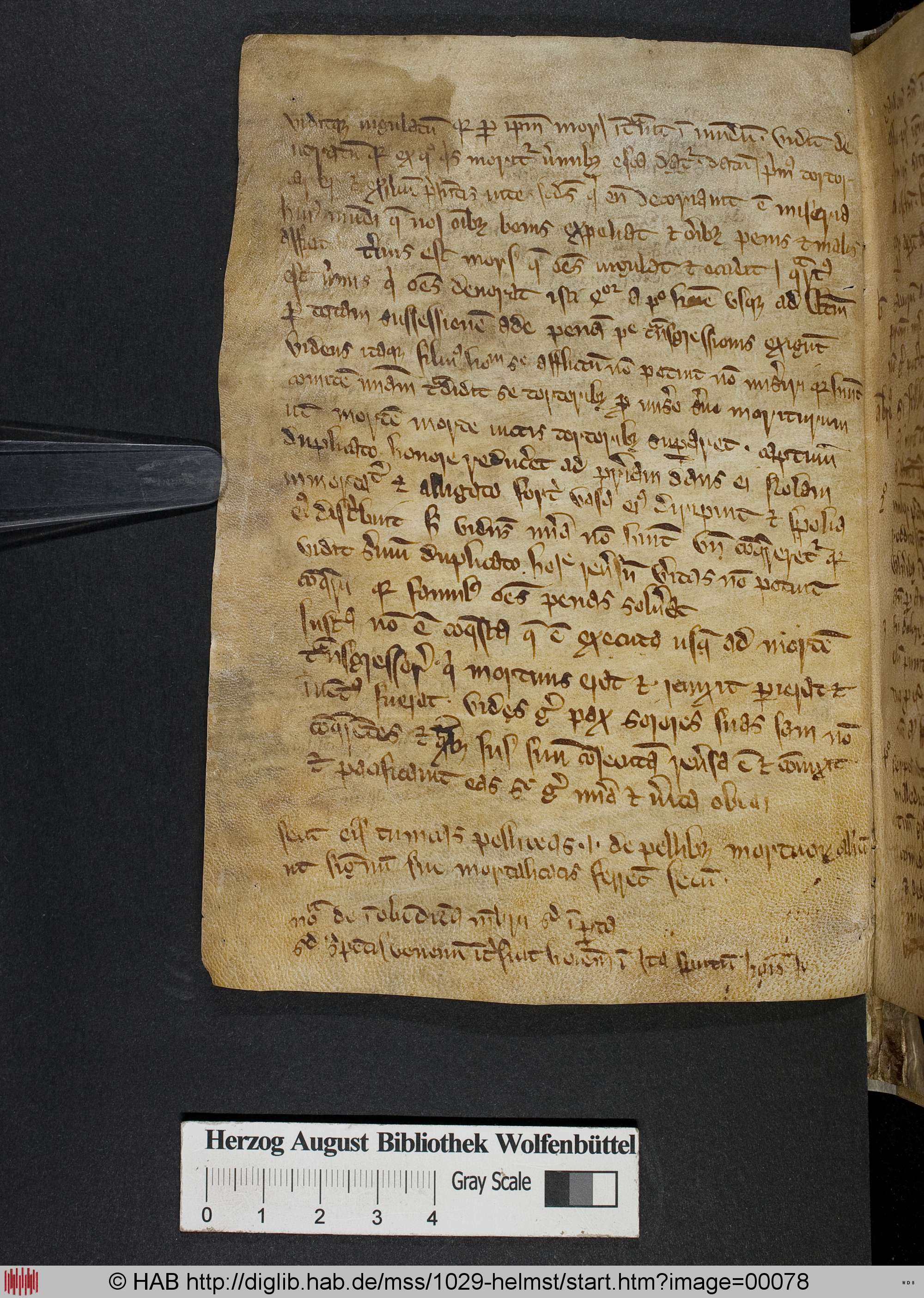 http://diglib.hab.de/mss/1029-helmst/max/00078.jpg