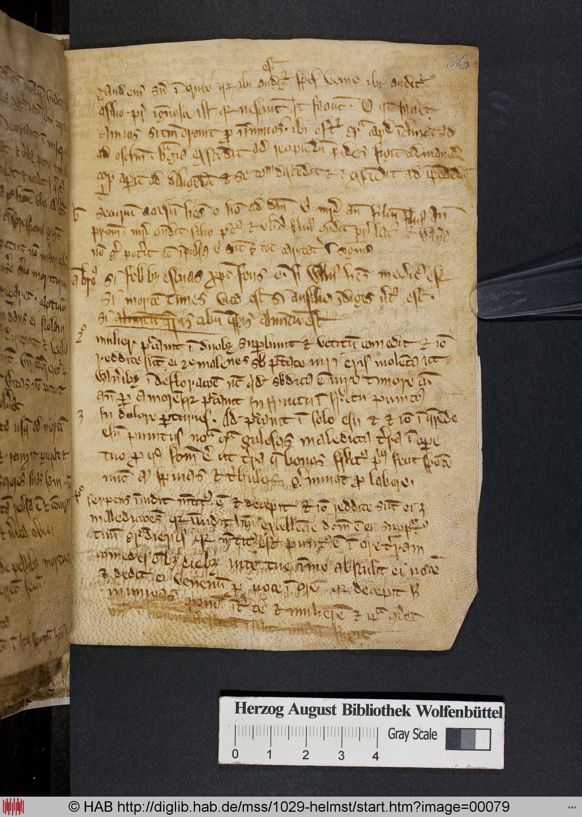 http://diglib.hab.de/mss/1029-helmst/max/00079.jpg