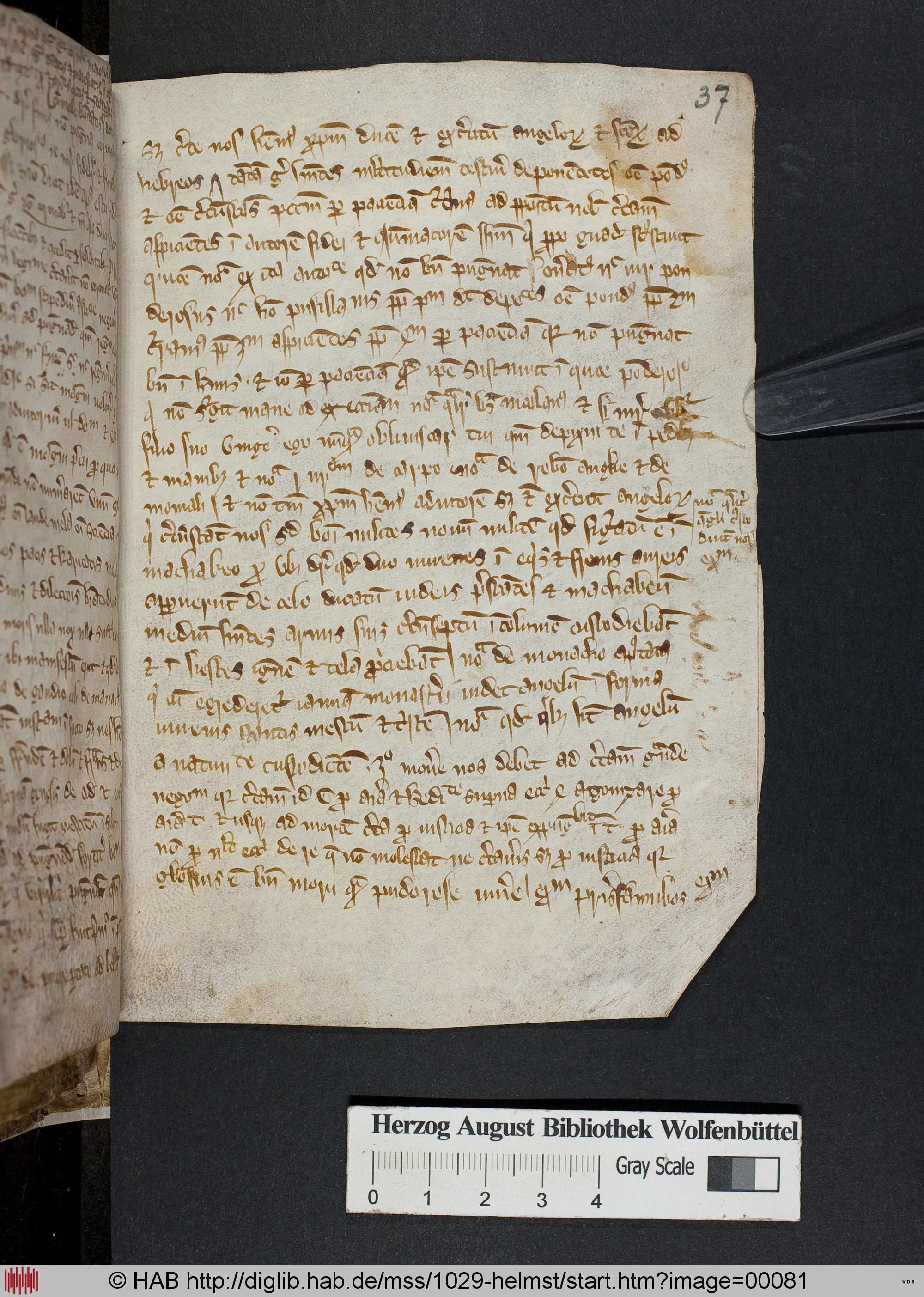 http://diglib.hab.de/mss/1029-helmst/max/00081.jpg