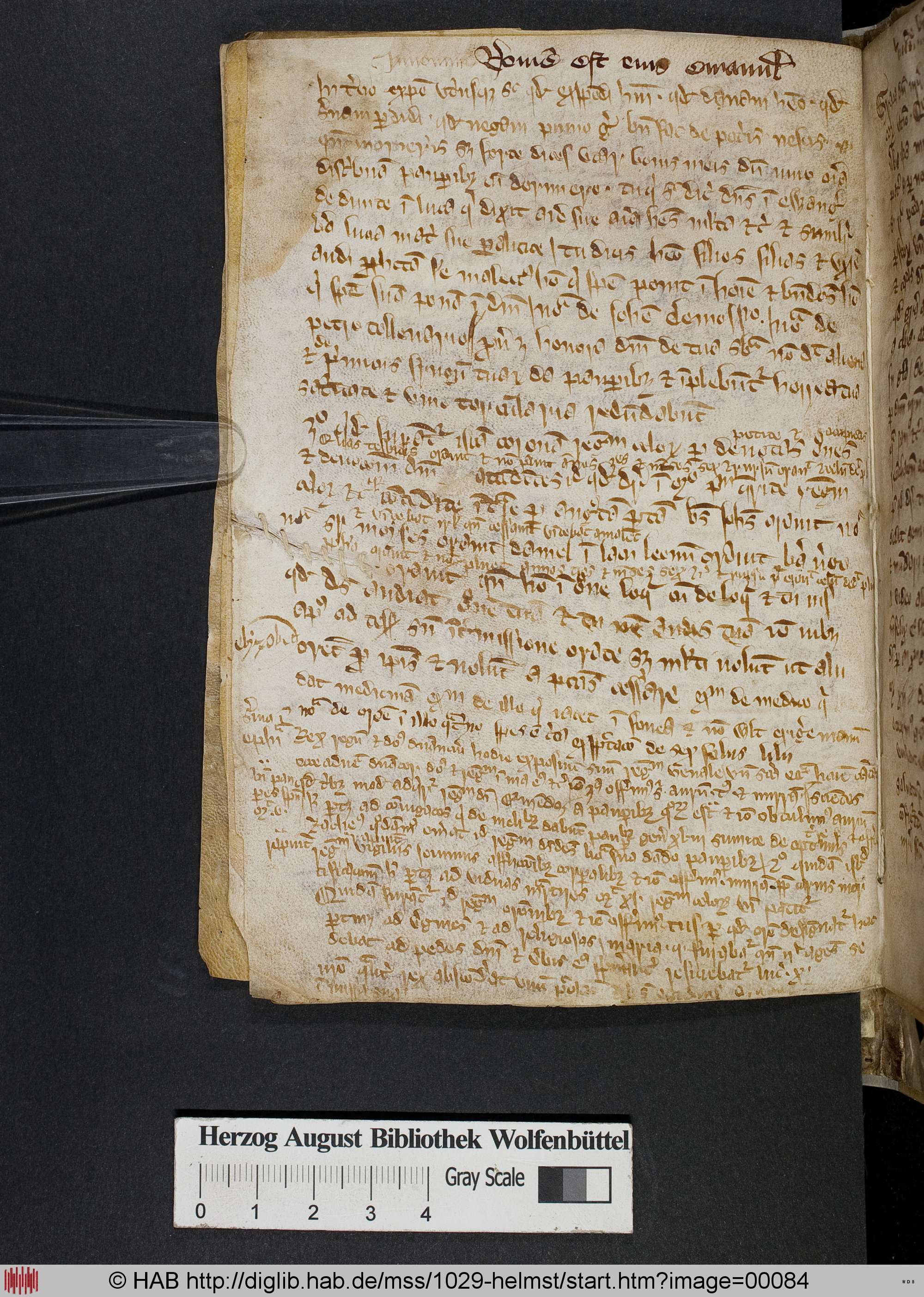 http://diglib.hab.de/mss/1029-helmst/max/00084.jpg