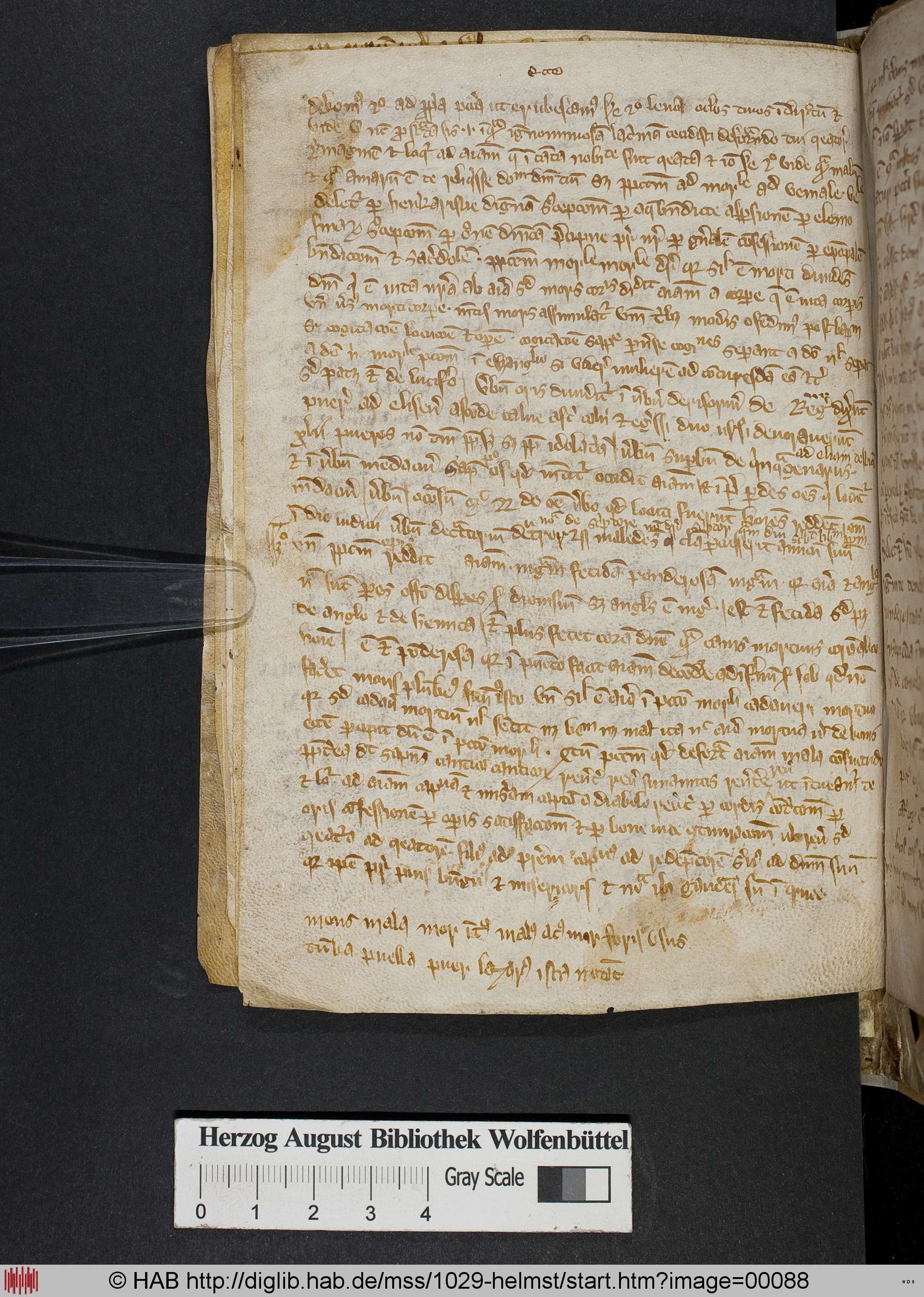 http://diglib.hab.de/mss/1029-helmst/max/00088.jpg