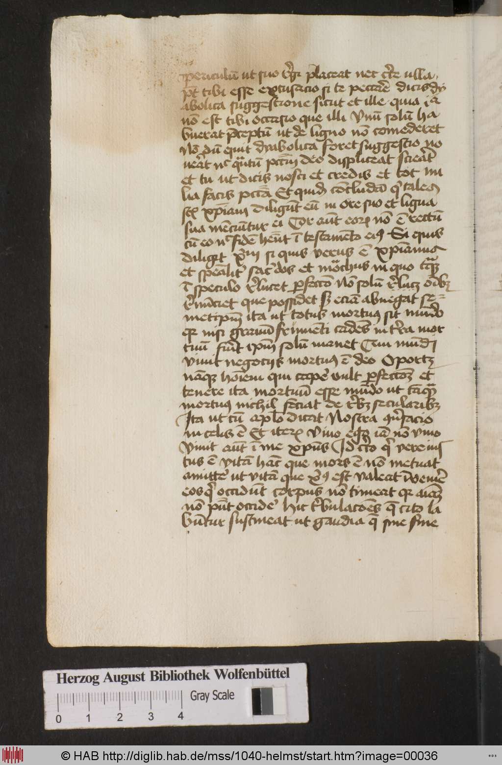 http://diglib.hab.de/mss/1040-helmst/00036.jpg