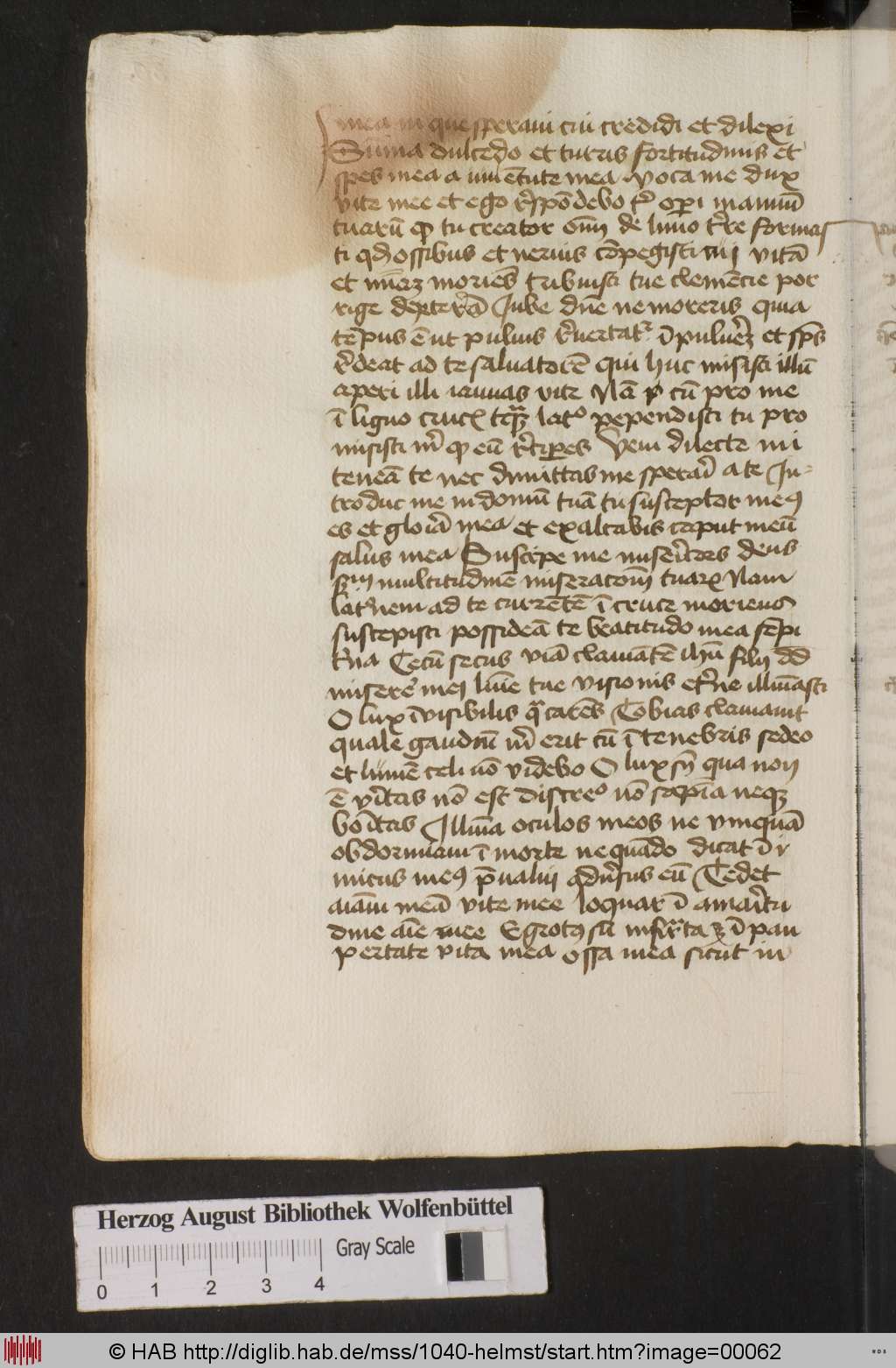 http://diglib.hab.de/mss/1040-helmst/00062.jpg