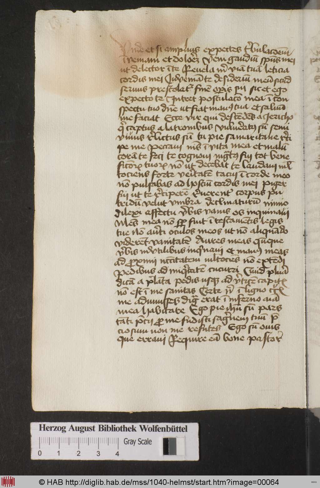 http://diglib.hab.de/mss/1040-helmst/00064.jpg