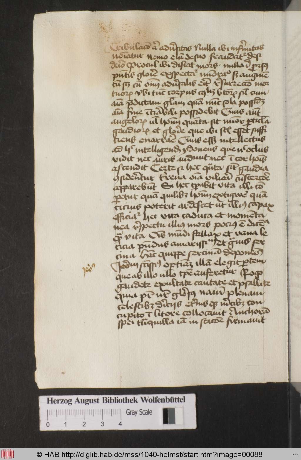 http://diglib.hab.de/mss/1040-helmst/00088.jpg