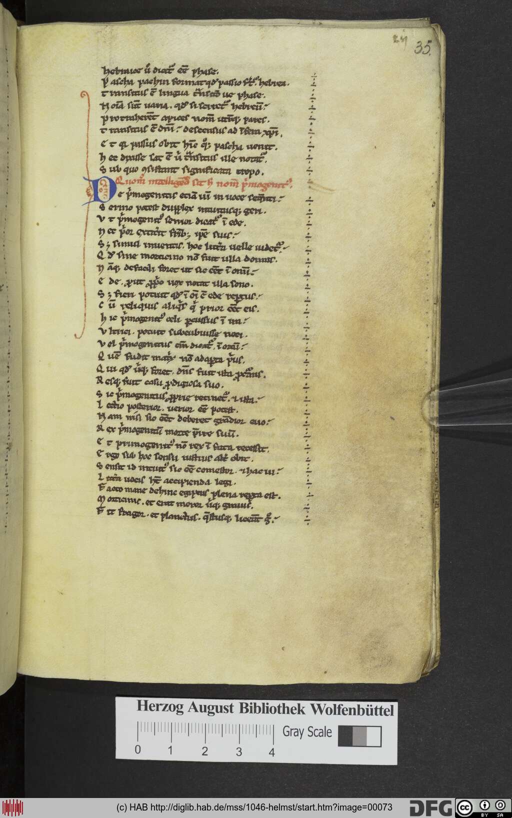 http://diglib.hab.de/mss/1046-helmst/00073.jpg