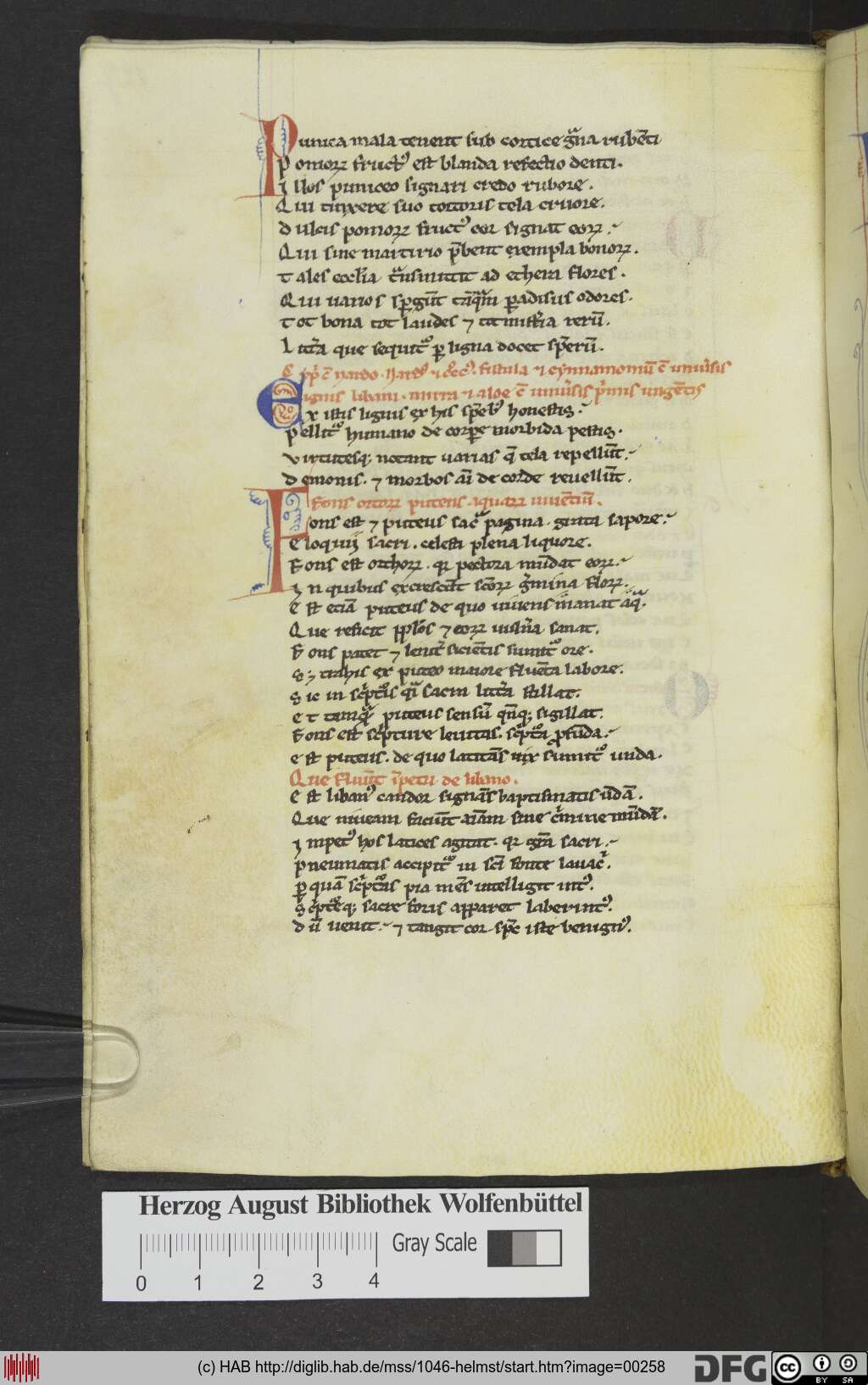 http://diglib.hab.de/mss/1046-helmst/00258.jpg