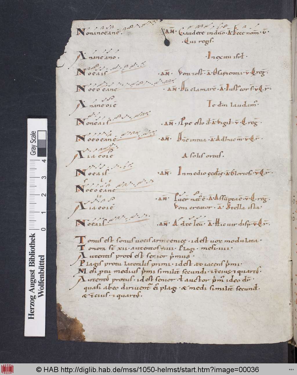 http://diglib.hab.de/mss/1050-helmst/00036.jpg