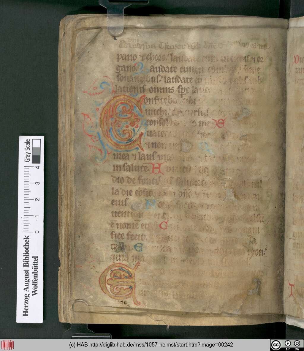 http://diglib.hab.de/mss/1057-helmst/00242.jpg