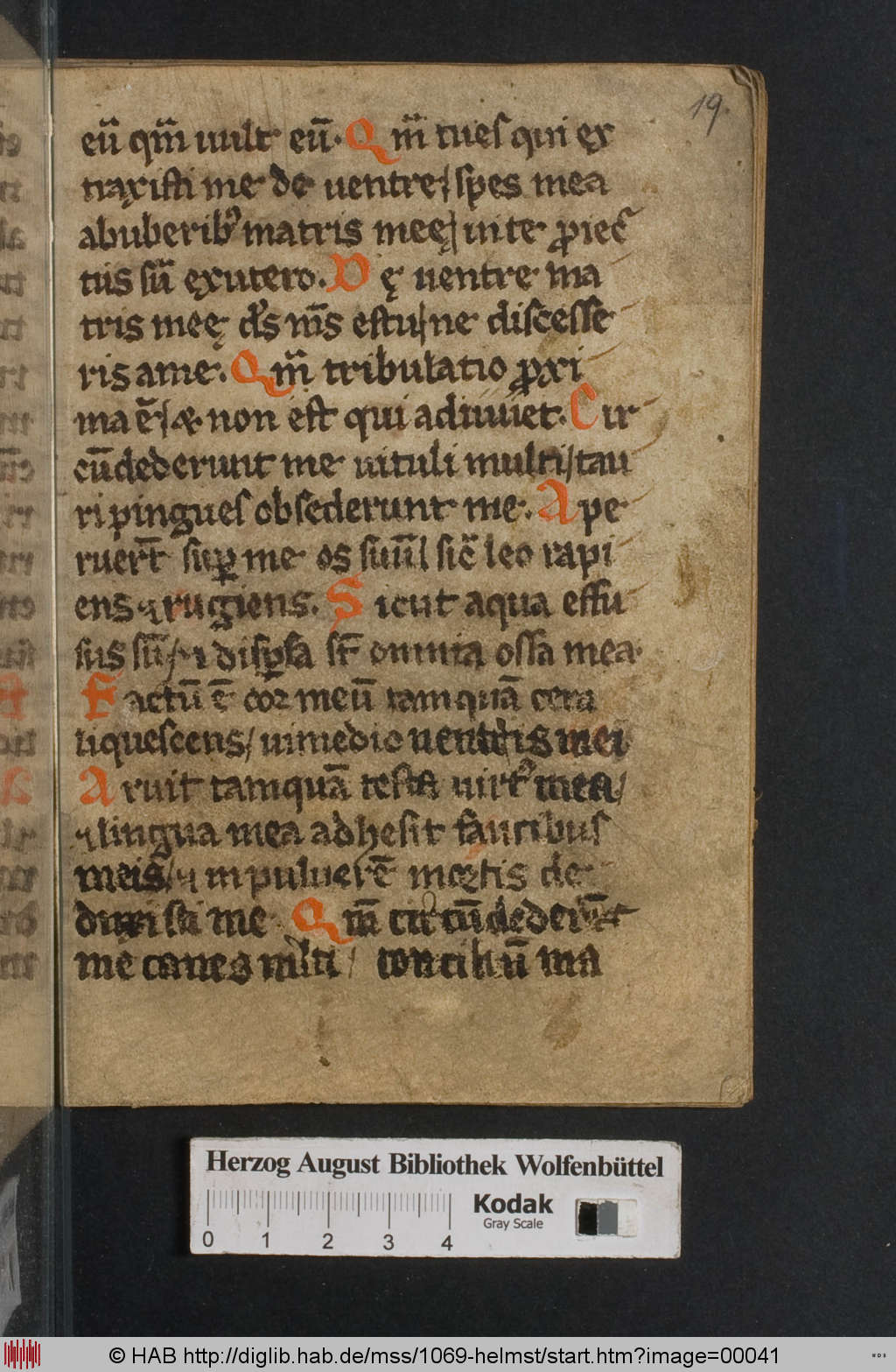 http://diglib.hab.de/mss/1069-helmst/00041.jpg