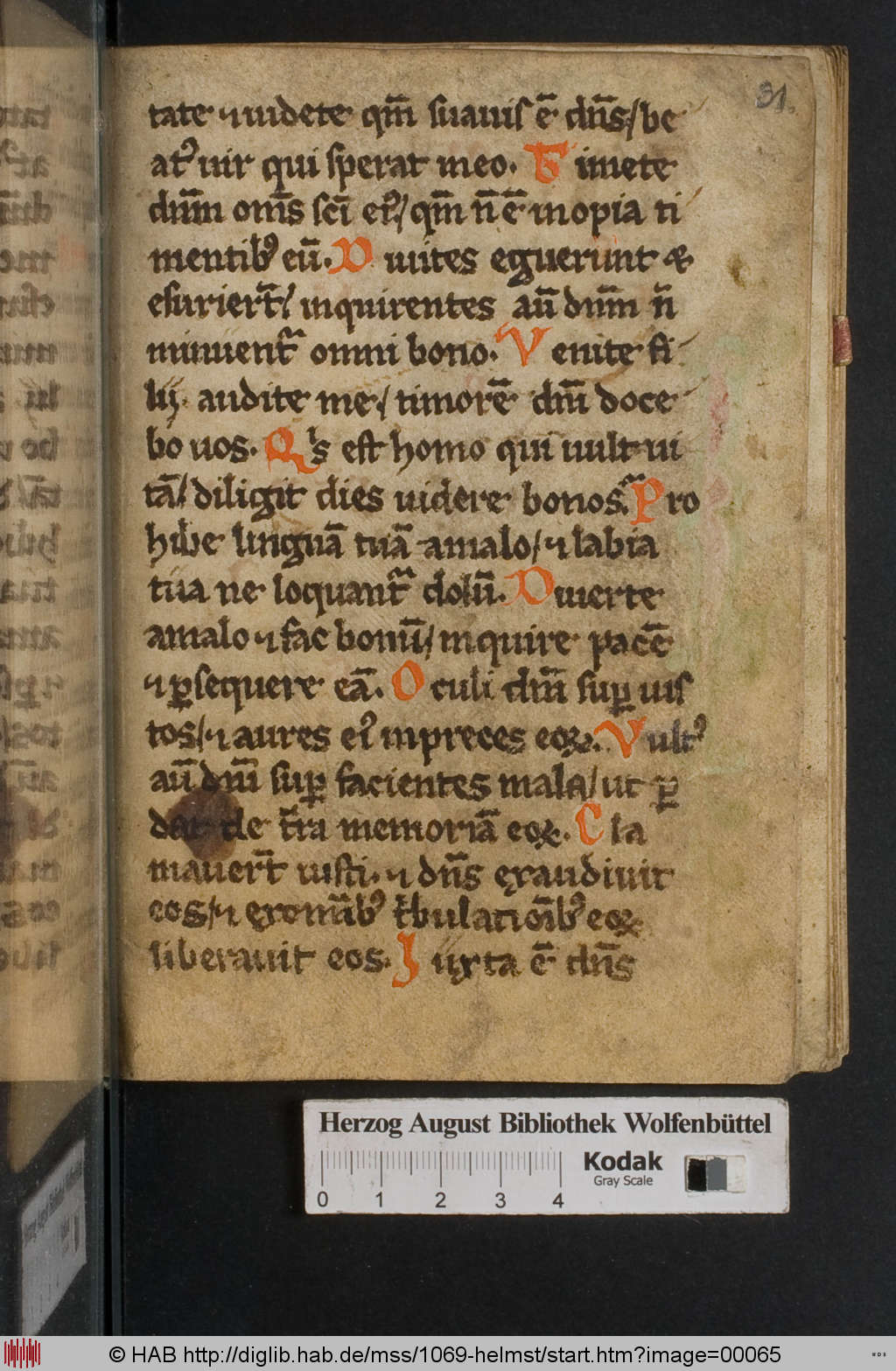 http://diglib.hab.de/mss/1069-helmst/00065.jpg