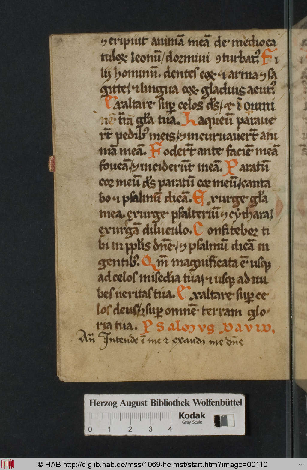 http://diglib.hab.de/mss/1069-helmst/00110.jpg