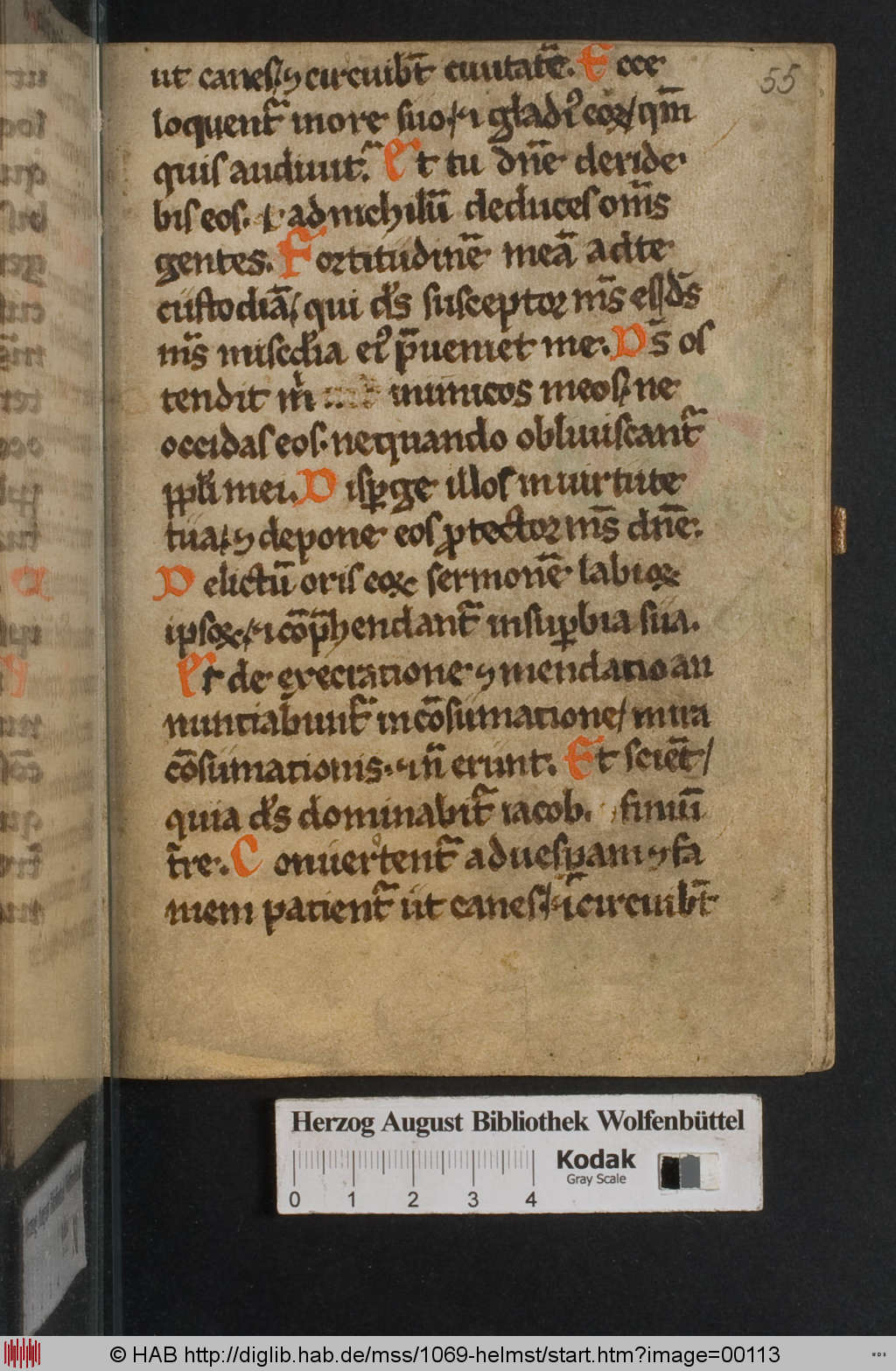 http://diglib.hab.de/mss/1069-helmst/00113.jpg