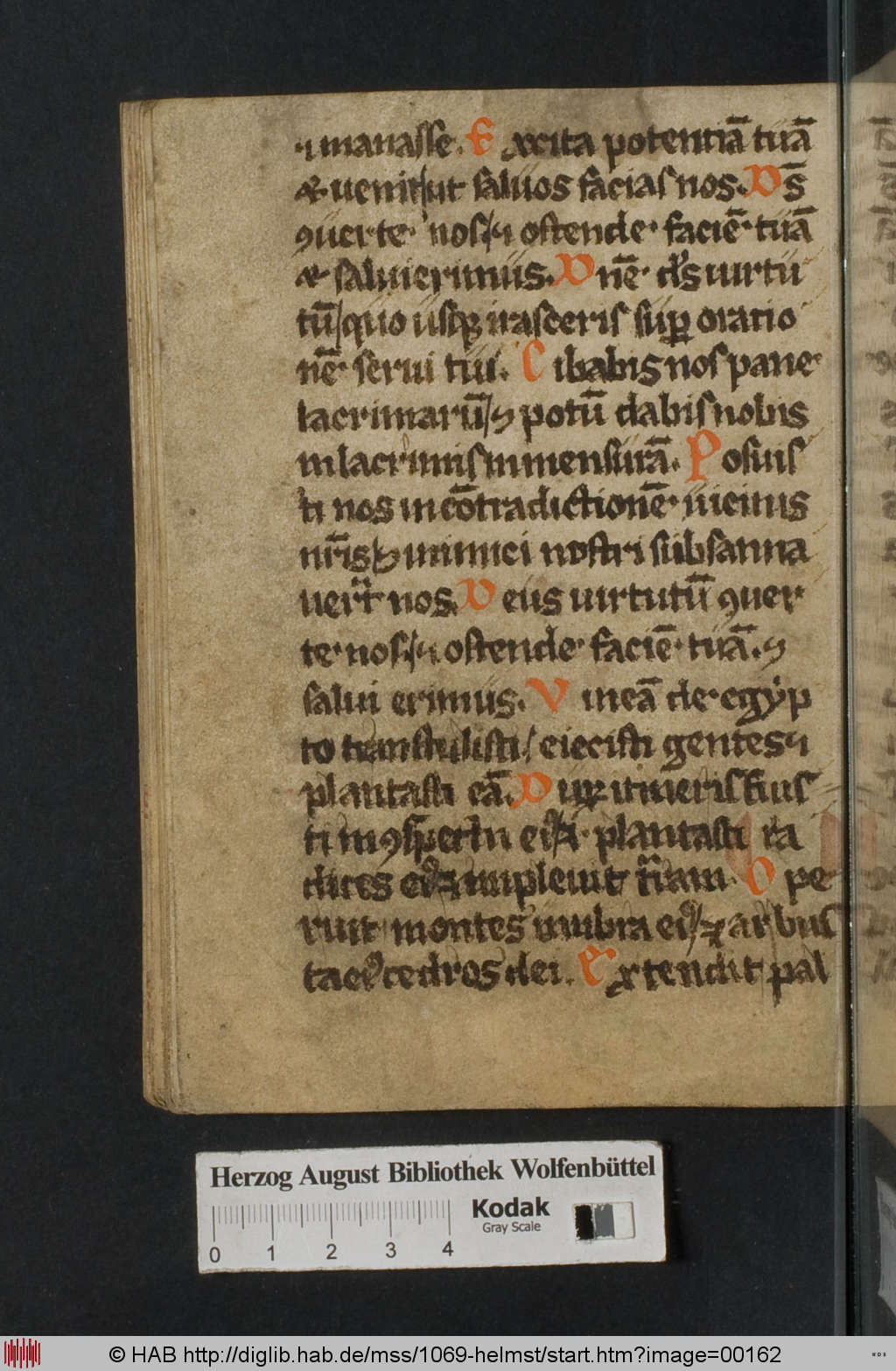 http://diglib.hab.de/mss/1069-helmst/00162.jpg