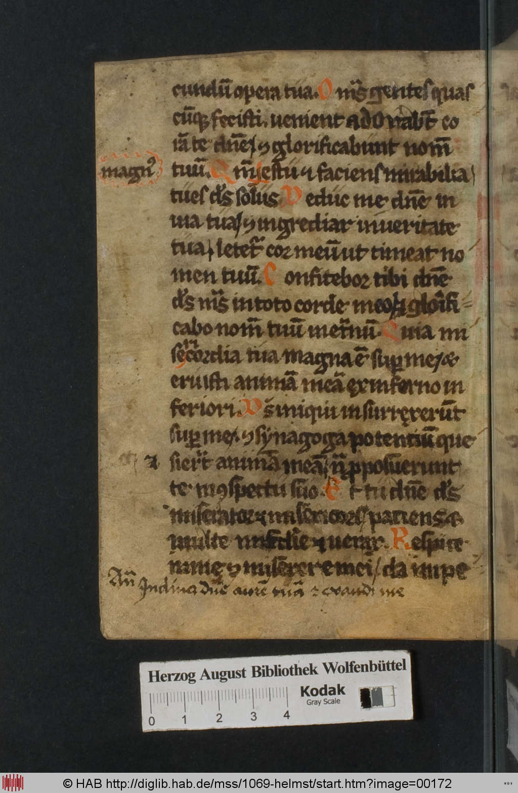 http://diglib.hab.de/mss/1069-helmst/00172.jpg