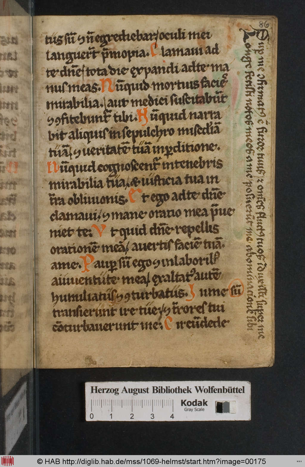 http://diglib.hab.de/mss/1069-helmst/00175.jpg