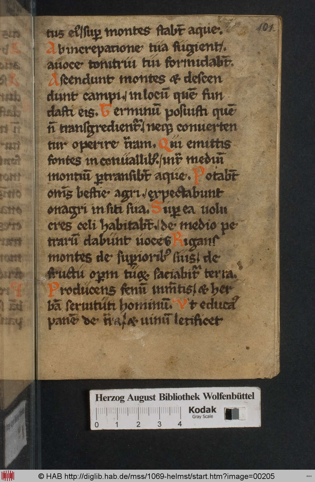 http://diglib.hab.de/mss/1069-helmst/00205.jpg