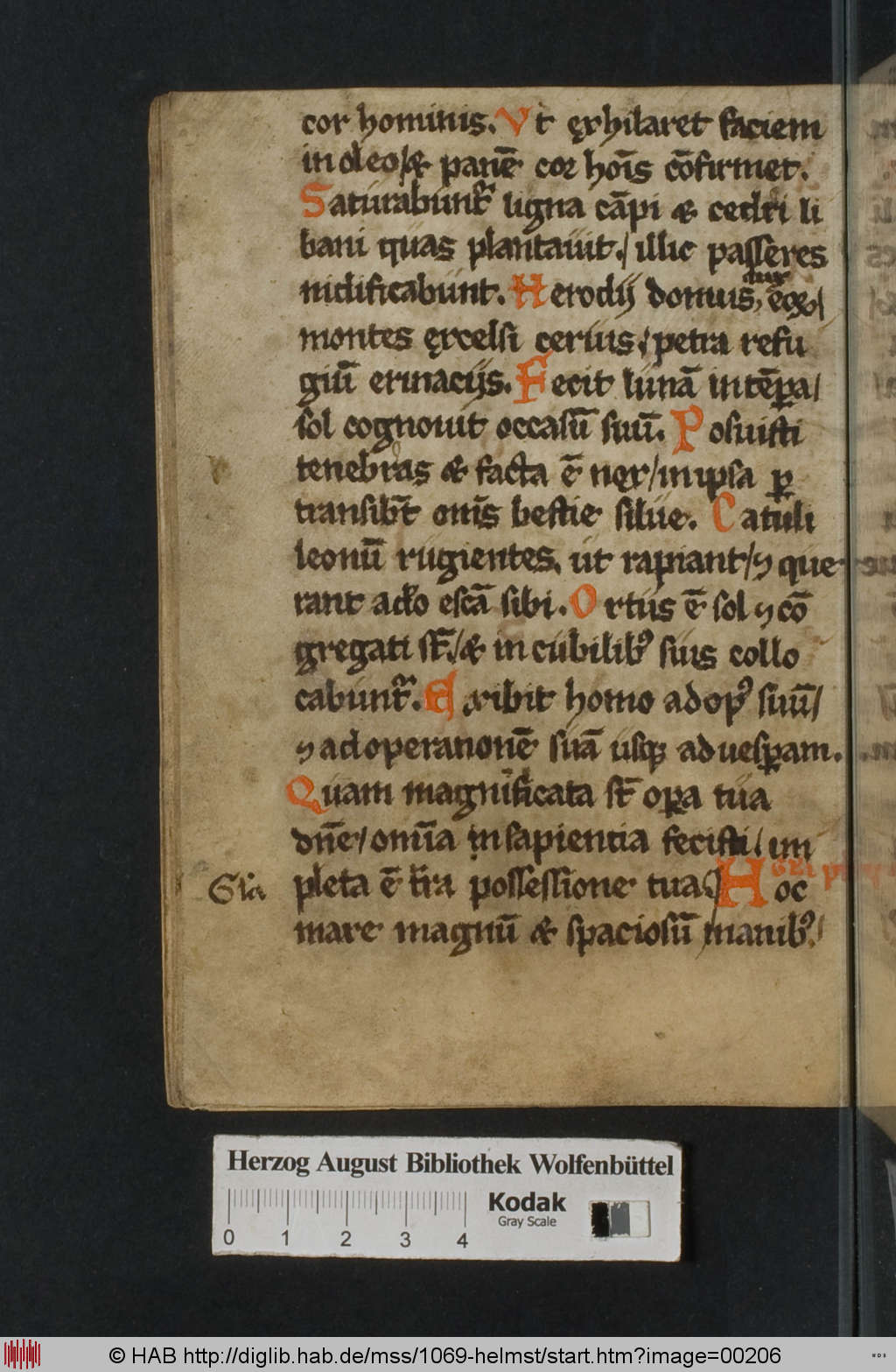 http://diglib.hab.de/mss/1069-helmst/00206.jpg