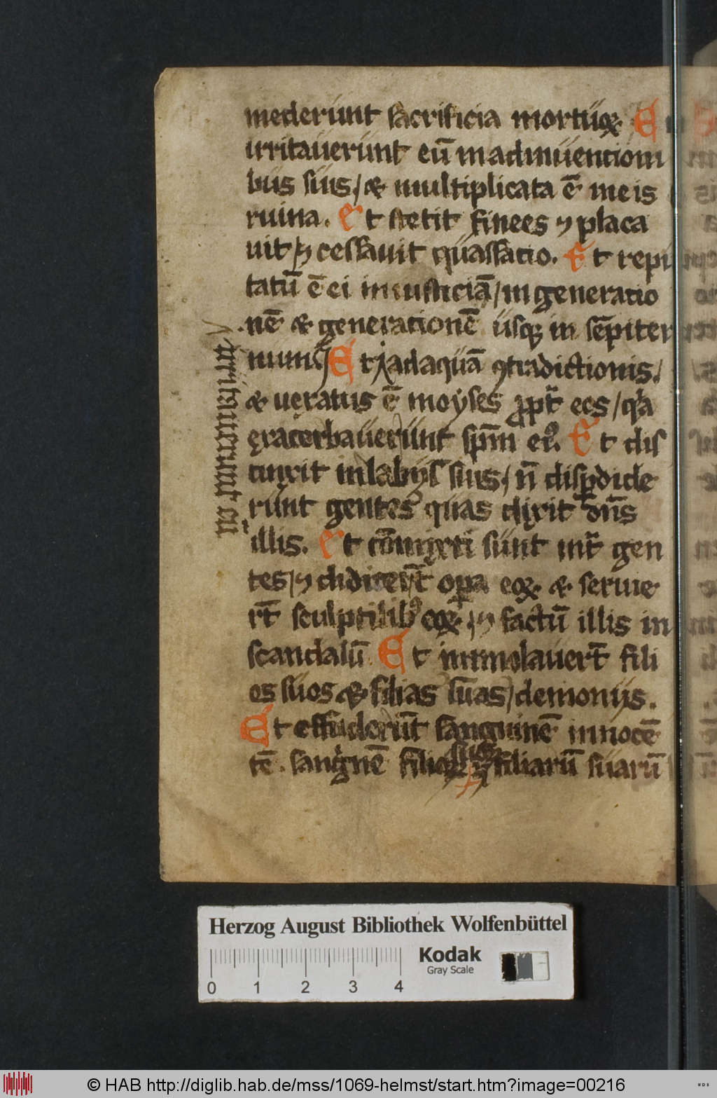 http://diglib.hab.de/mss/1069-helmst/00216.jpg