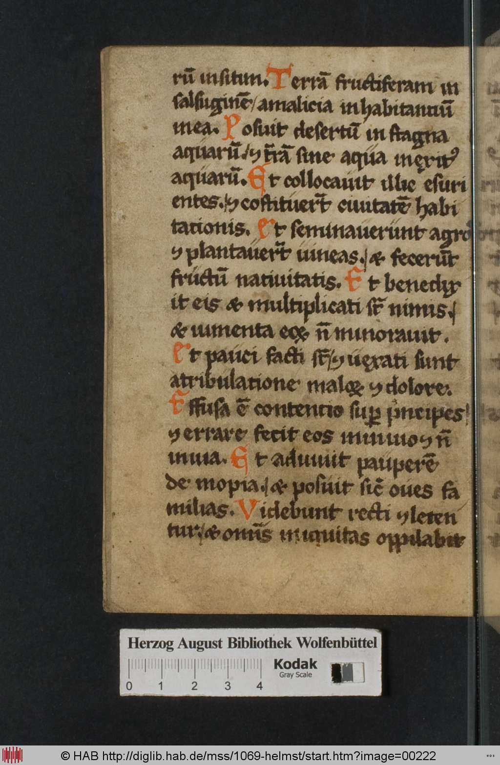 http://diglib.hab.de/mss/1069-helmst/00222.jpg