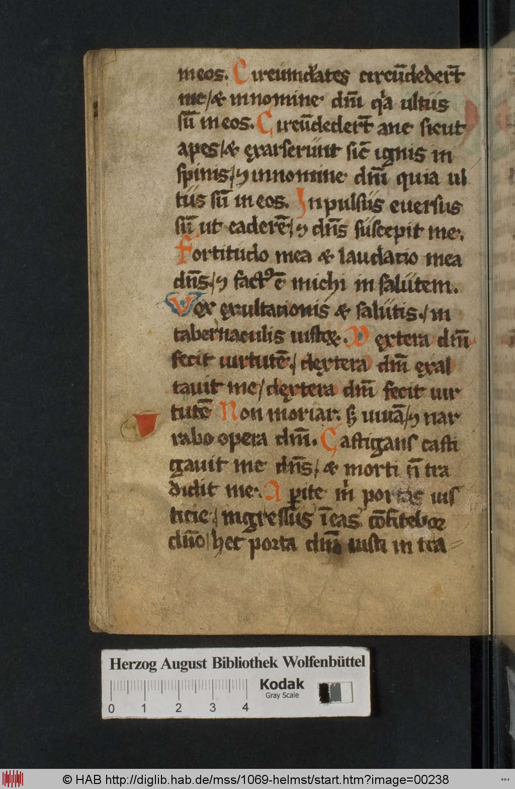 http://diglib.hab.de/mss/1069-helmst/00238.jpg