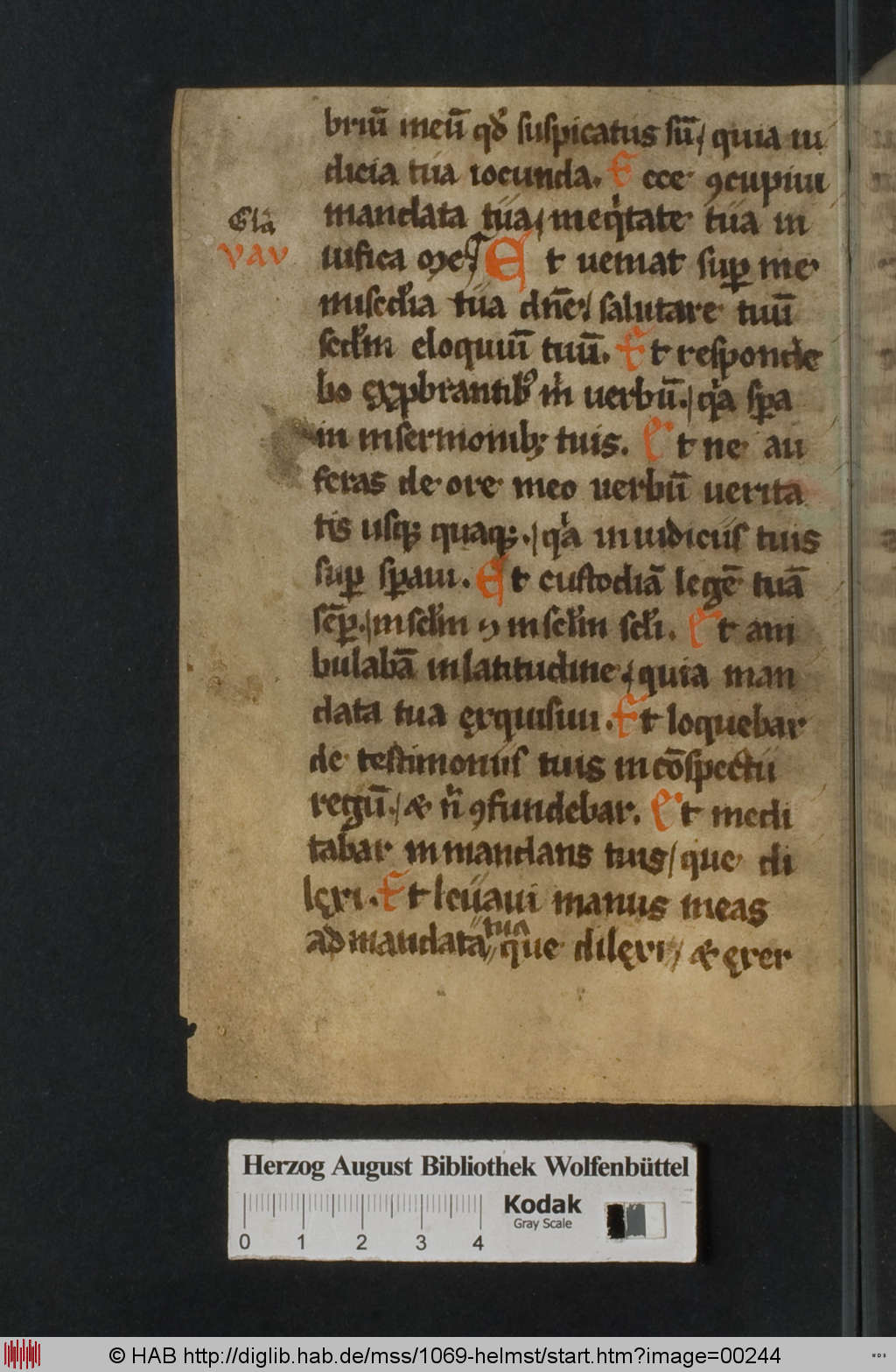 http://diglib.hab.de/mss/1069-helmst/00244.jpg