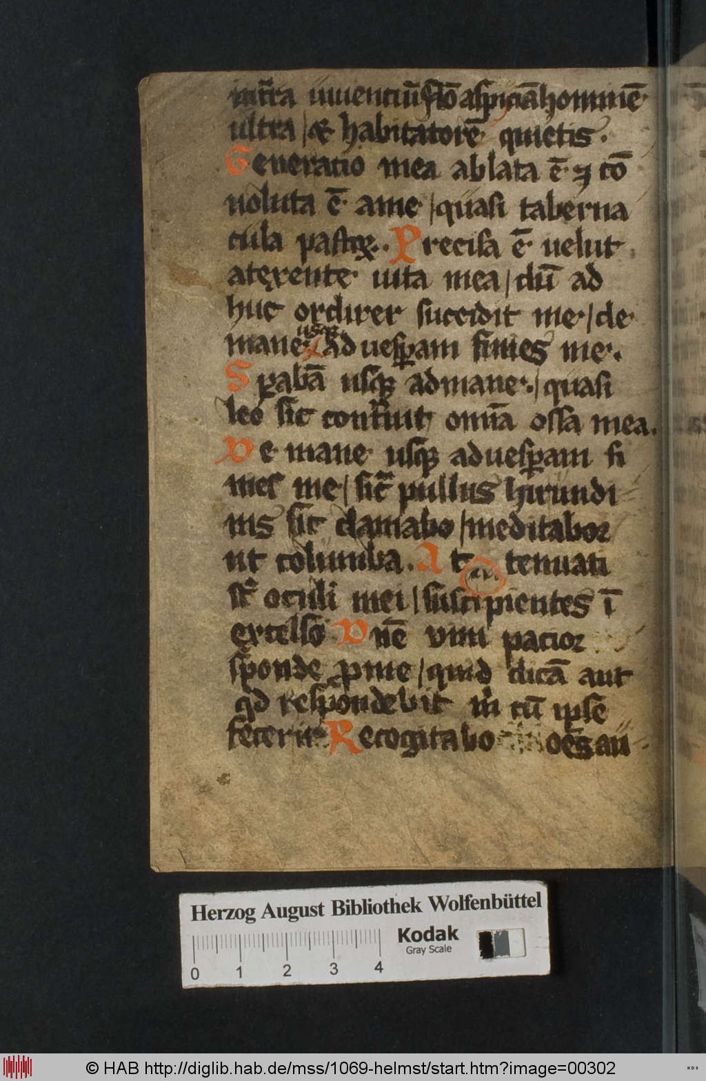 http://diglib.hab.de/mss/1069-helmst/00302.jpg