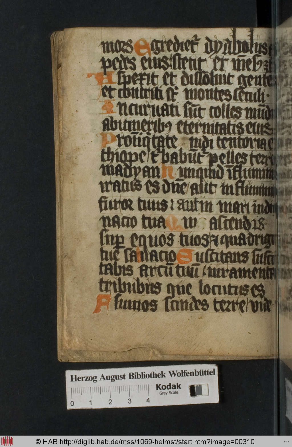 http://diglib.hab.de/mss/1069-helmst/00310.jpg