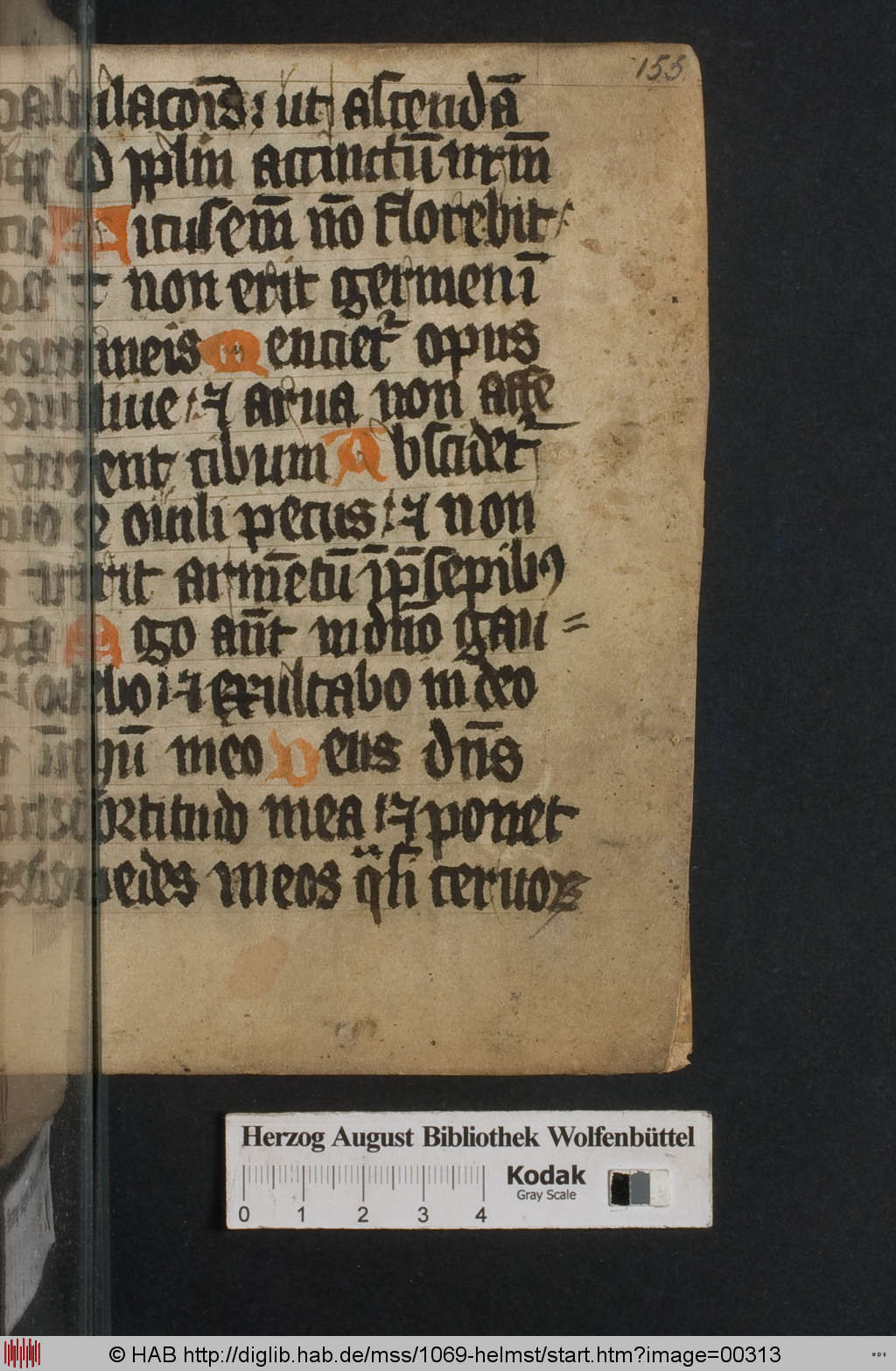 http://diglib.hab.de/mss/1069-helmst/00313.jpg