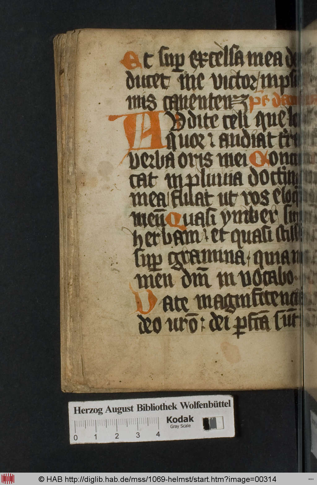 http://diglib.hab.de/mss/1069-helmst/00314.jpg