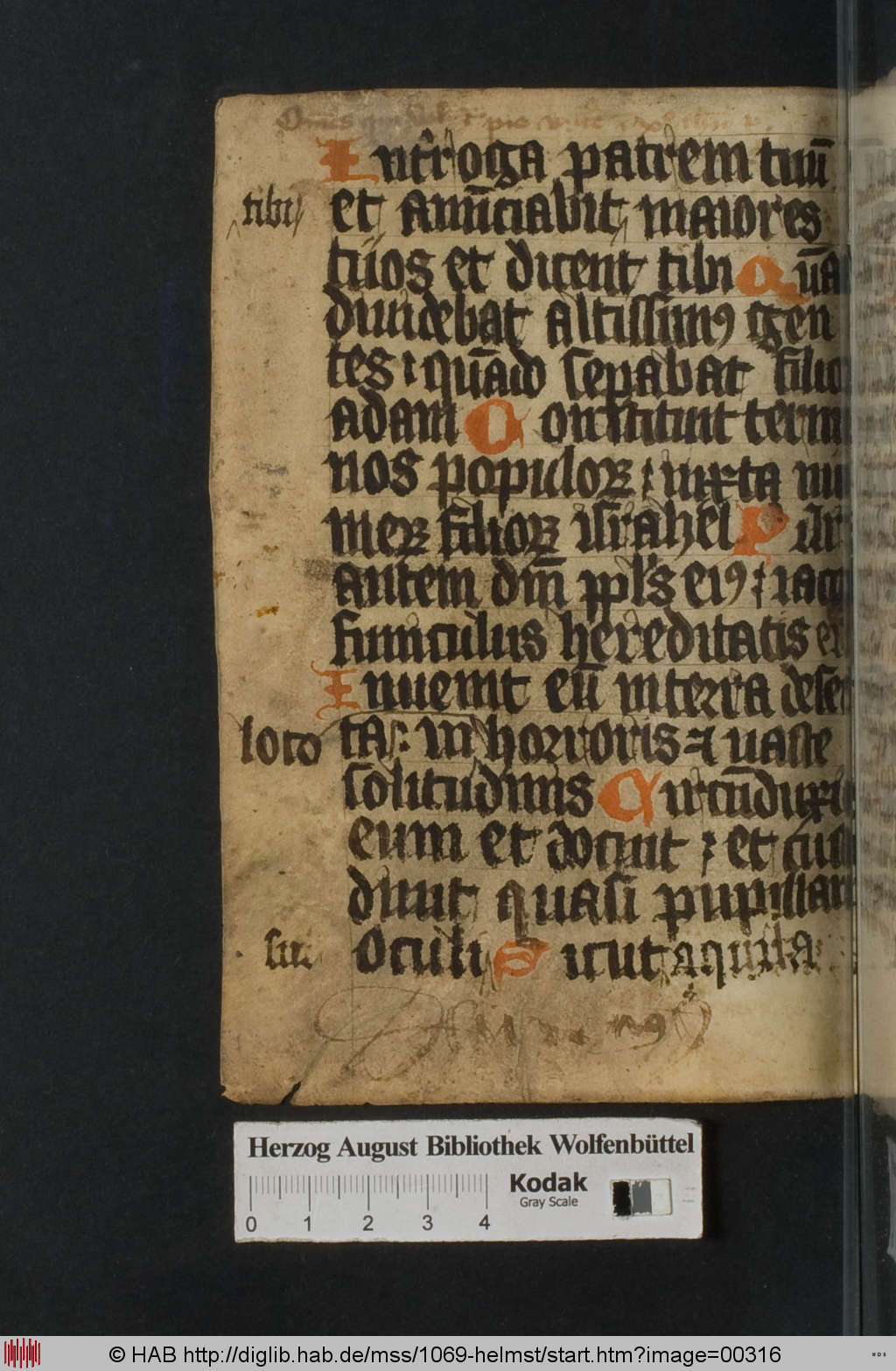 http://diglib.hab.de/mss/1069-helmst/00316.jpg