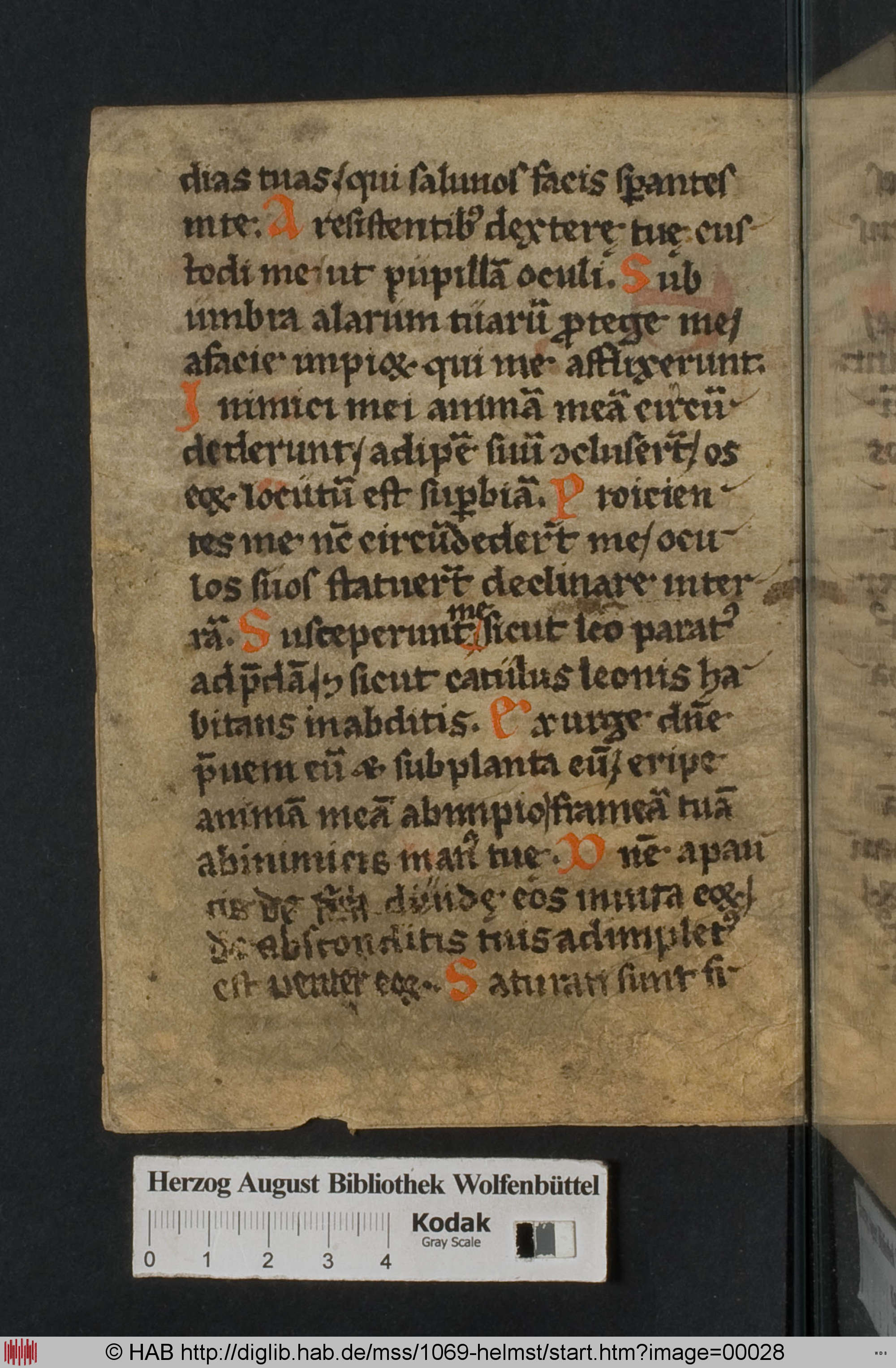 http://diglib.hab.de/mss/1069-helmst/max/00028.jpg