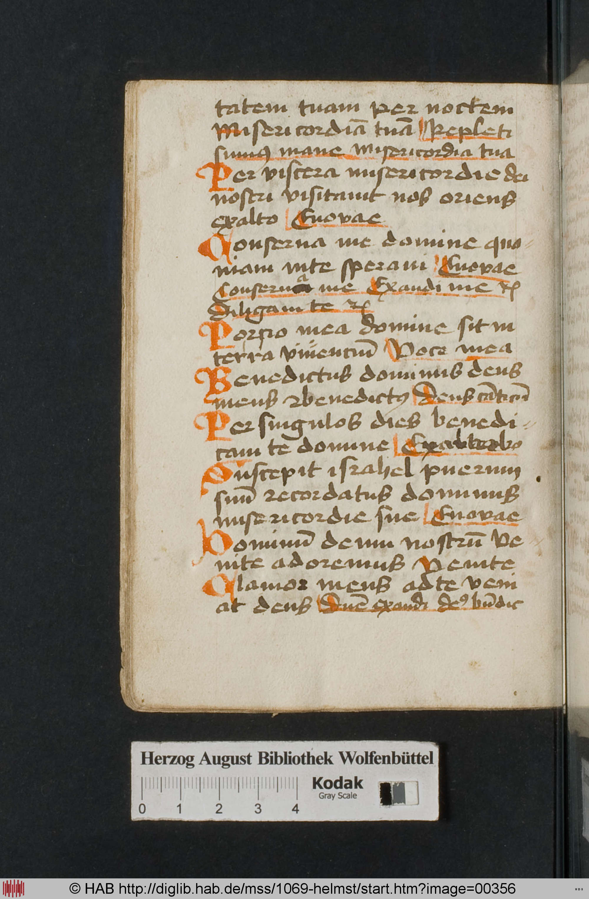 http://diglib.hab.de/mss/1069-helmst/max/00356.jpg