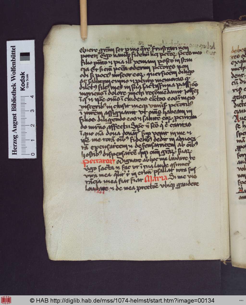 http://diglib.hab.de/mss/1074-helmst/00134.jpg