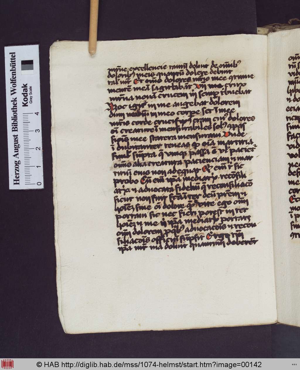 http://diglib.hab.de/mss/1074-helmst/00142.jpg