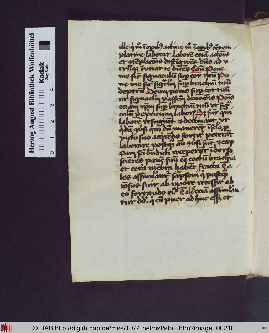 http://diglib.hab.de/mss/1074-helmst/00210.jpg