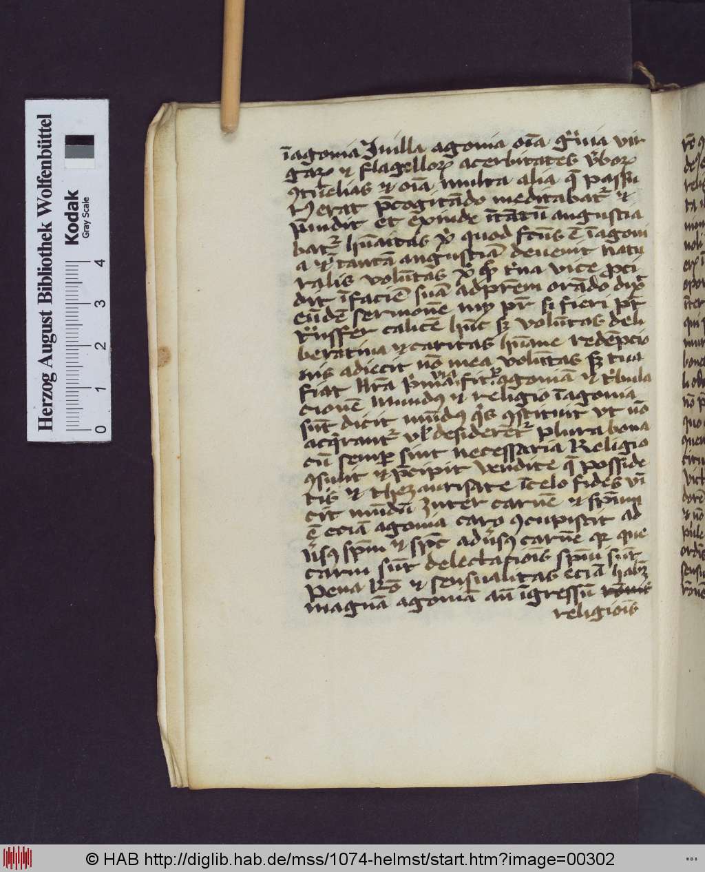 http://diglib.hab.de/mss/1074-helmst/00302.jpg