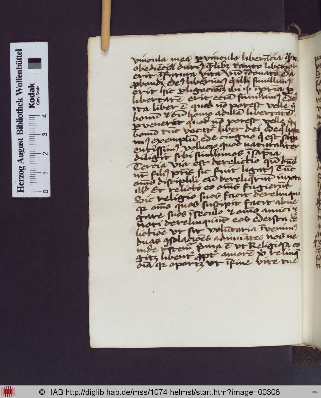 http://diglib.hab.de/mss/1074-helmst/00308.jpg